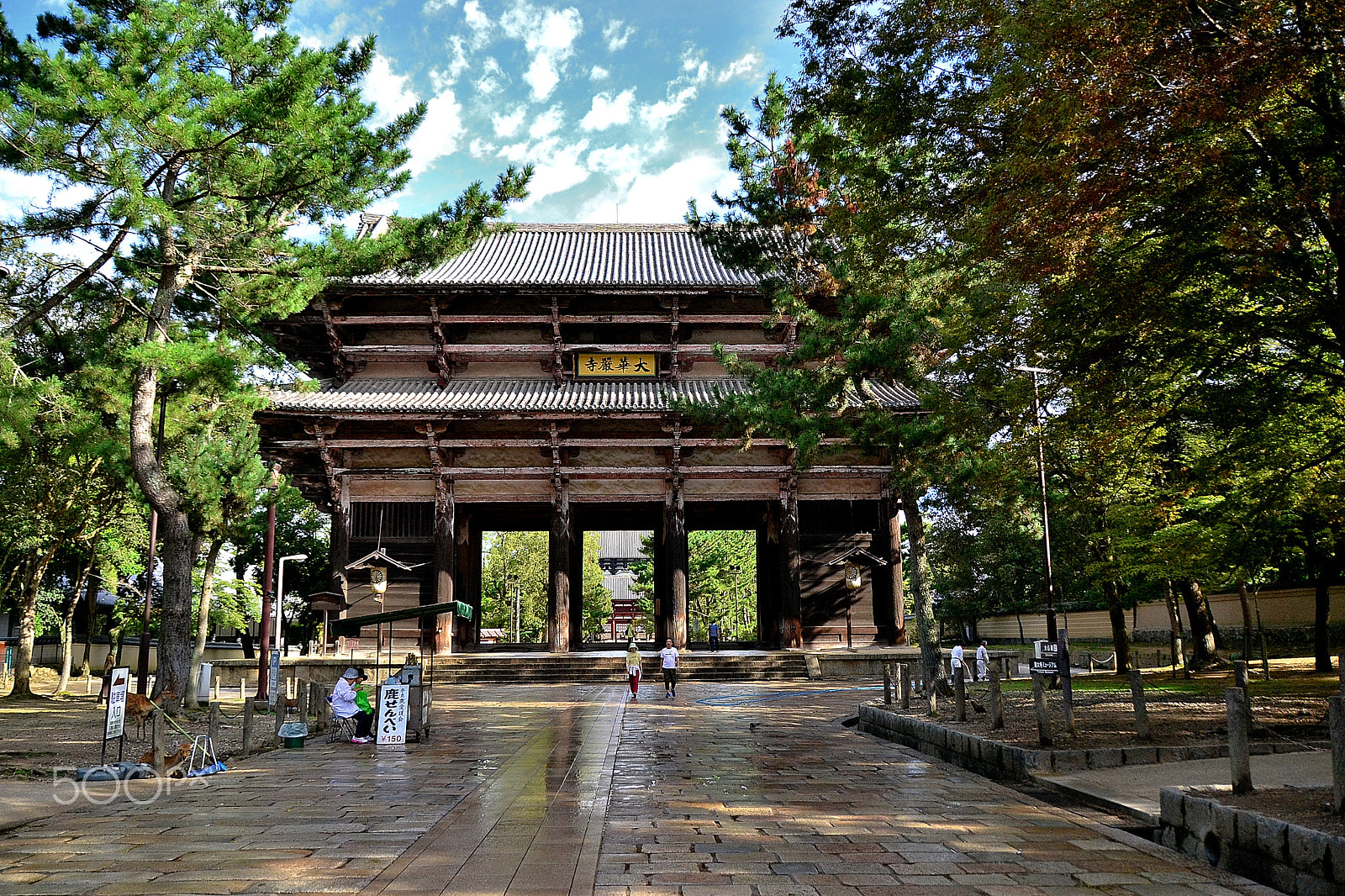 Nikon D3100 sample photo. Nara, japon. photography