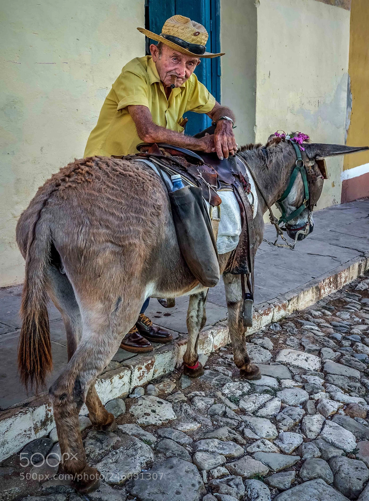 Olympus OM-D E-M5 II sample photo. Donkey,donkey...in cuba i photography