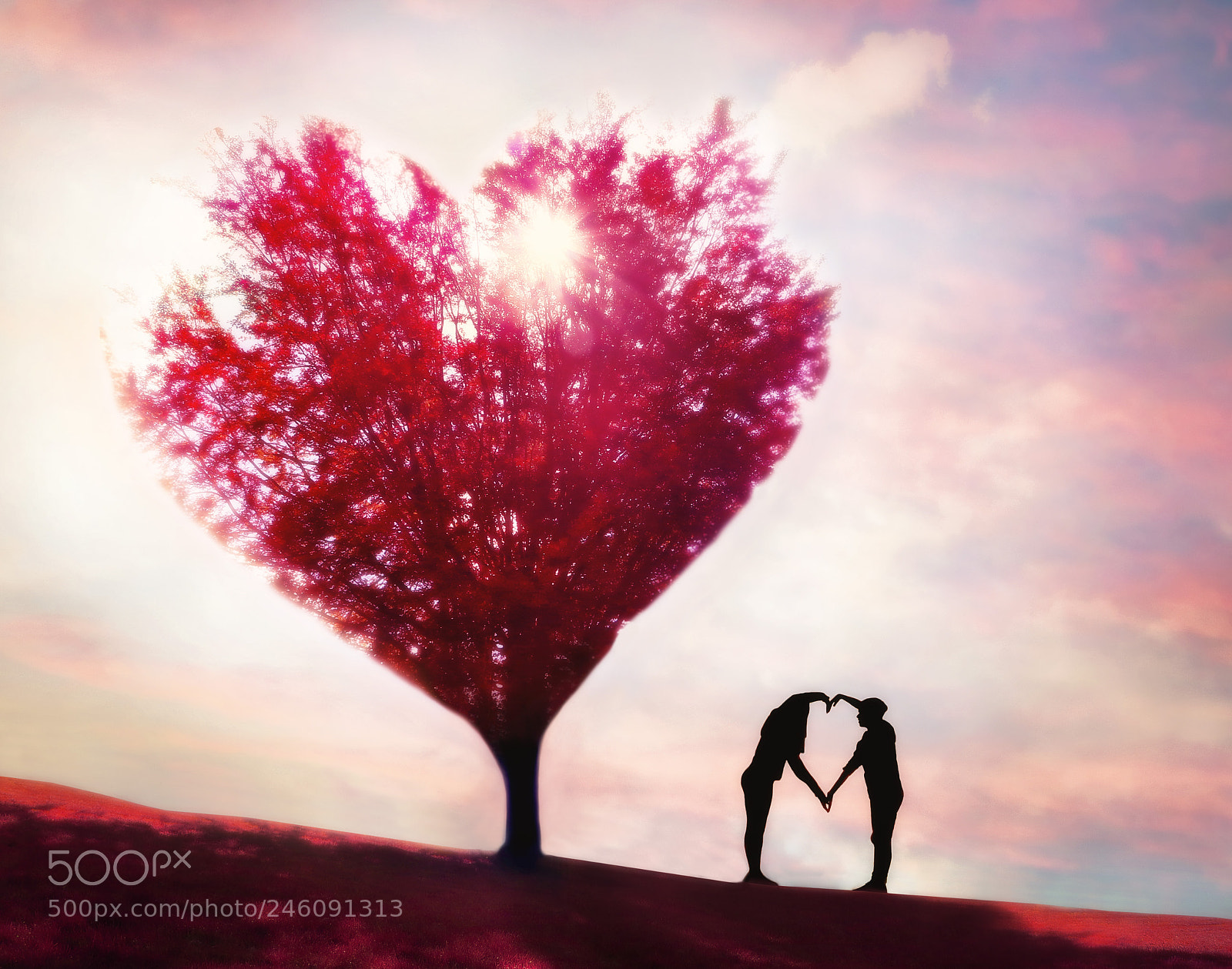 Canon EOS 7D Mark II sample photo. Happy valentine's day! photography