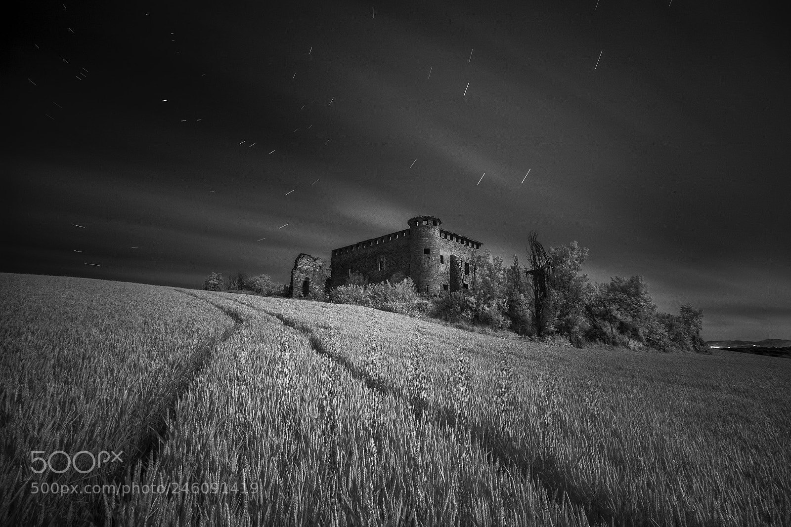 Canon EOS 5D sample photo. Guendulain (b&w version) photography