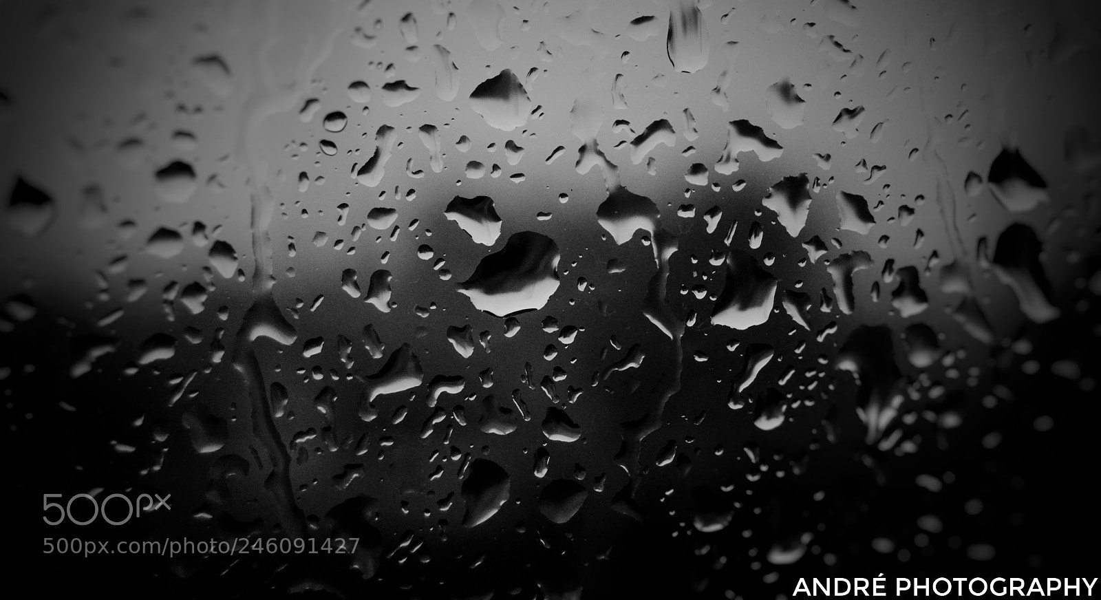 Nikon D3100 sample photo. Untitled photography