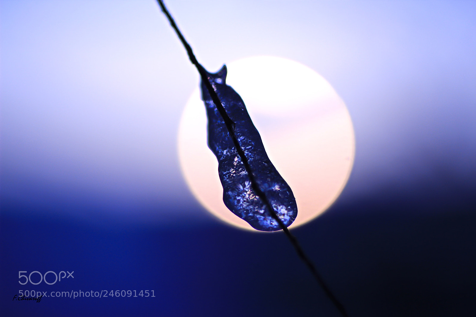 Canon EOS 100D (EOS Rebel SL1 / EOS Kiss X7) sample photo. Ice photography