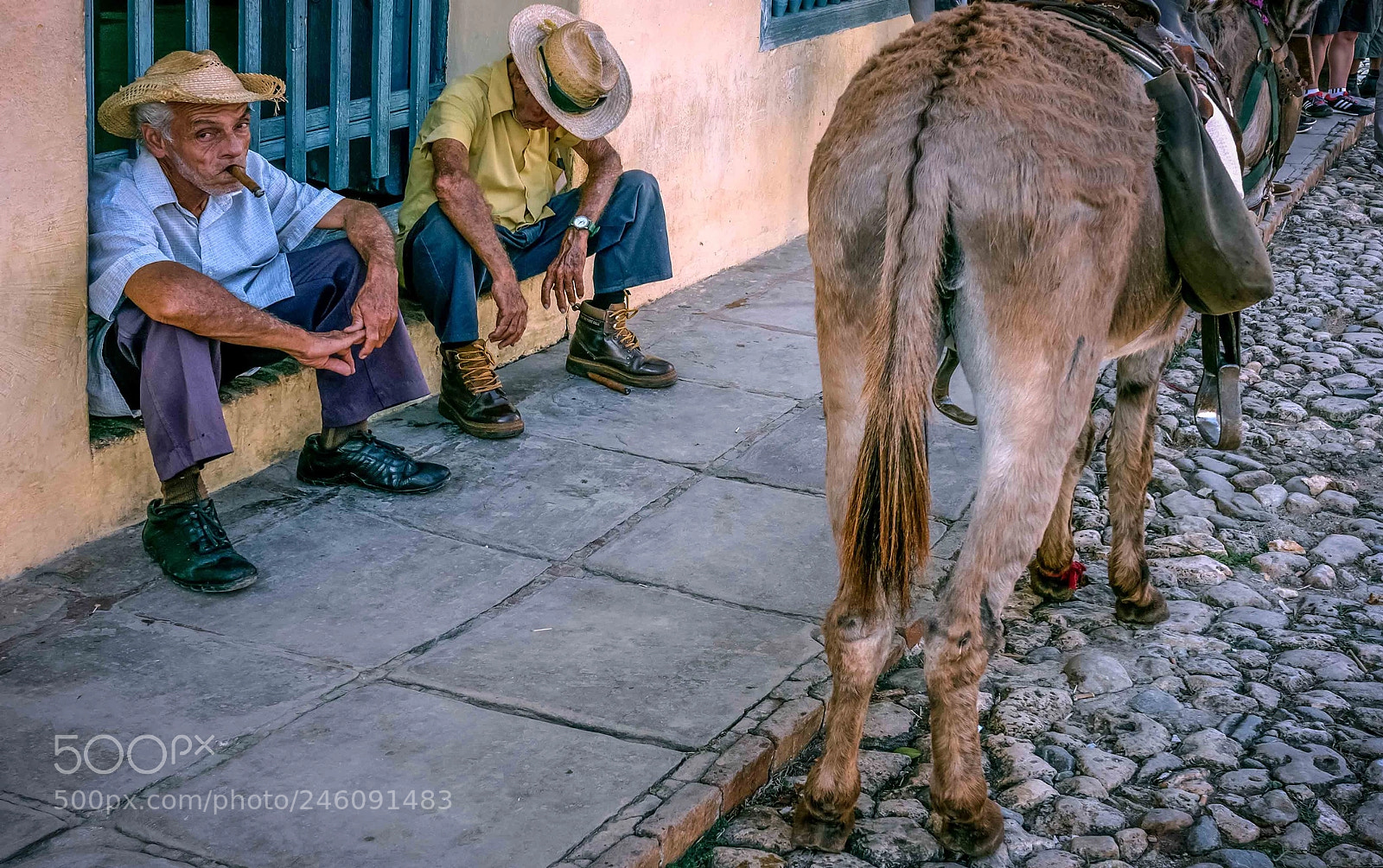 Olympus OM-D E-M5 II sample photo. Donkey,donkey... in cuba ii photography
