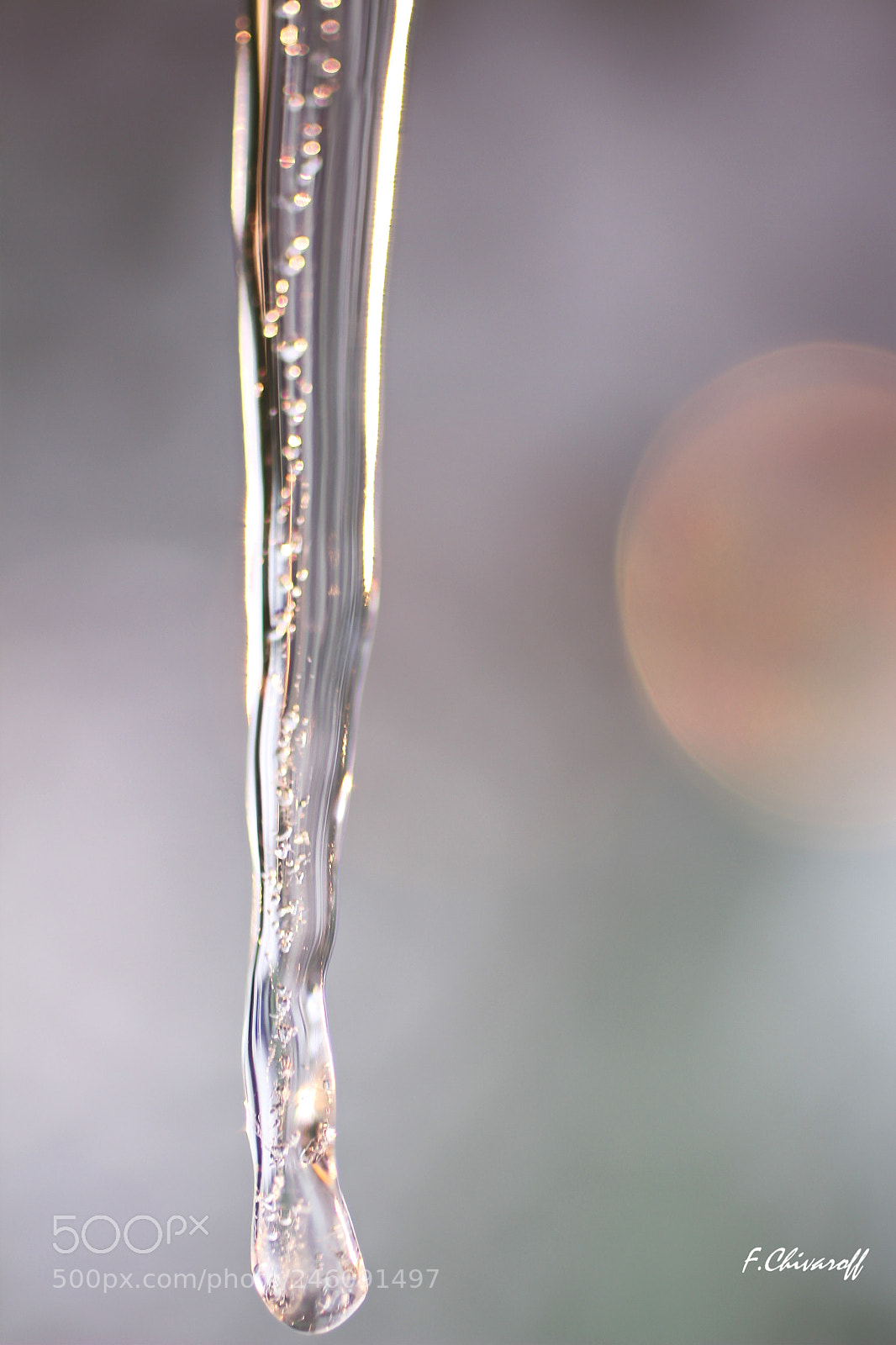 Canon EOS 100D (EOS Rebel SL1 / EOS Kiss X7) sample photo. Ice pastel photography