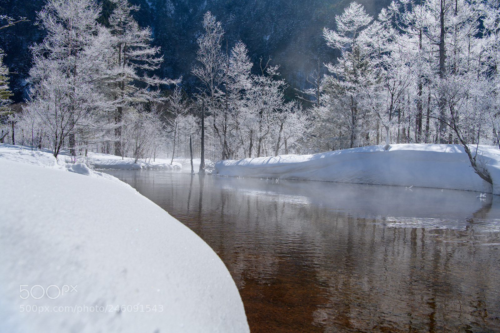 Nikon D850 sample photo. White trees lake photography