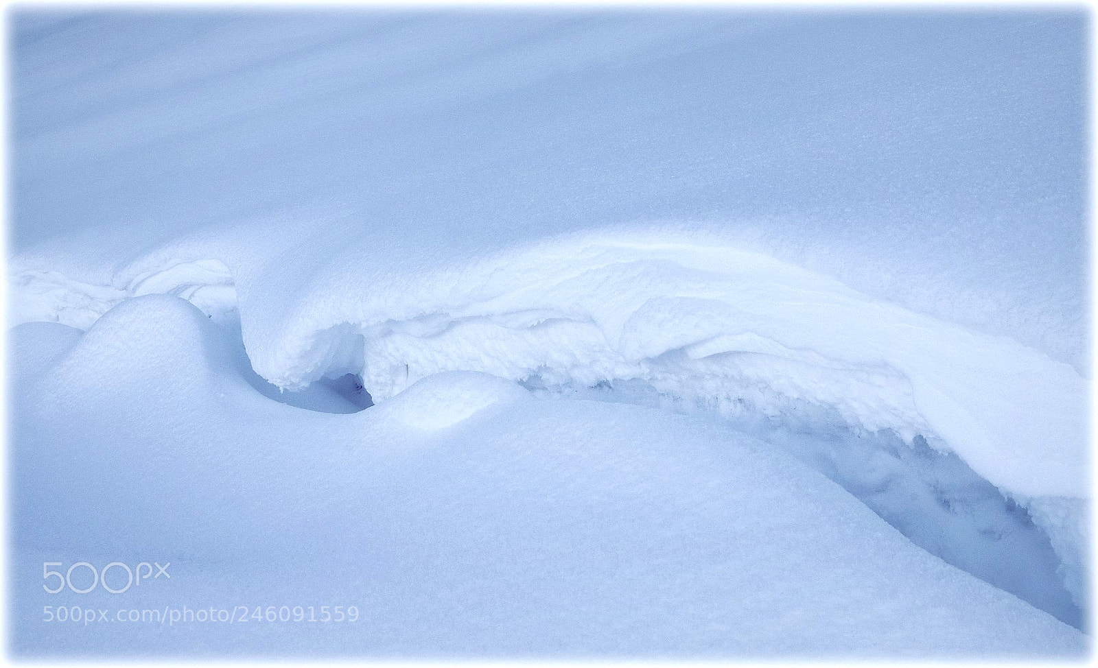 Nikon D810 sample photo. "schnee" photography