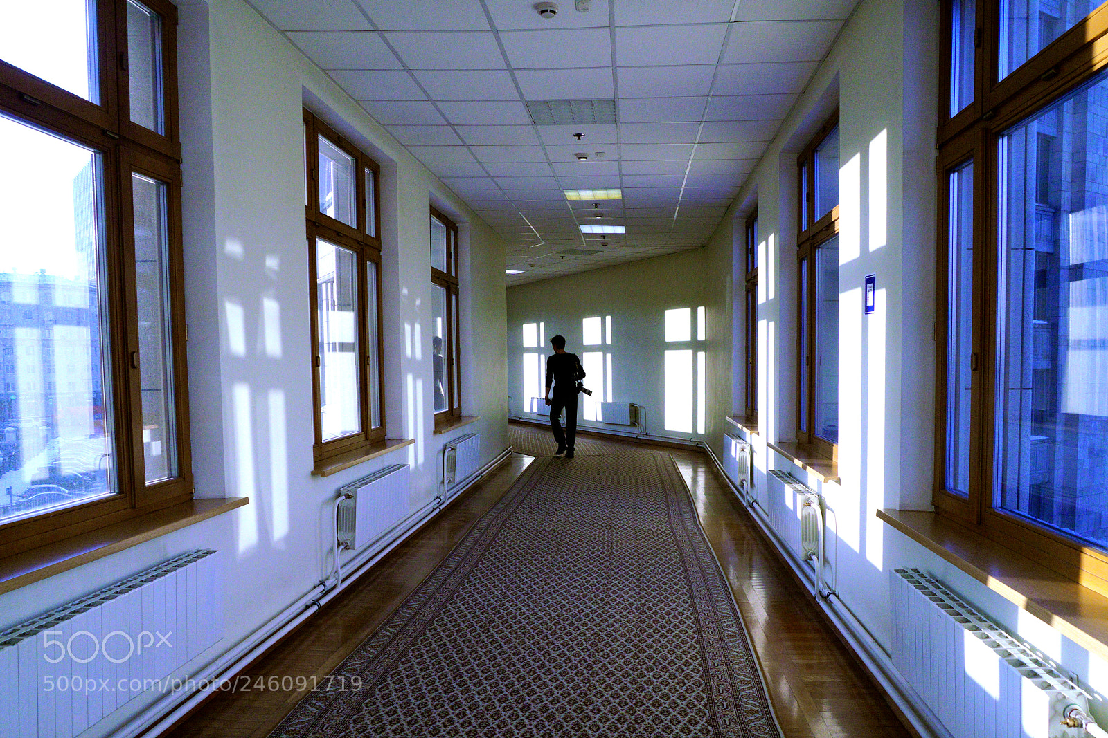 Sony a7R II sample photo. Untitled photography