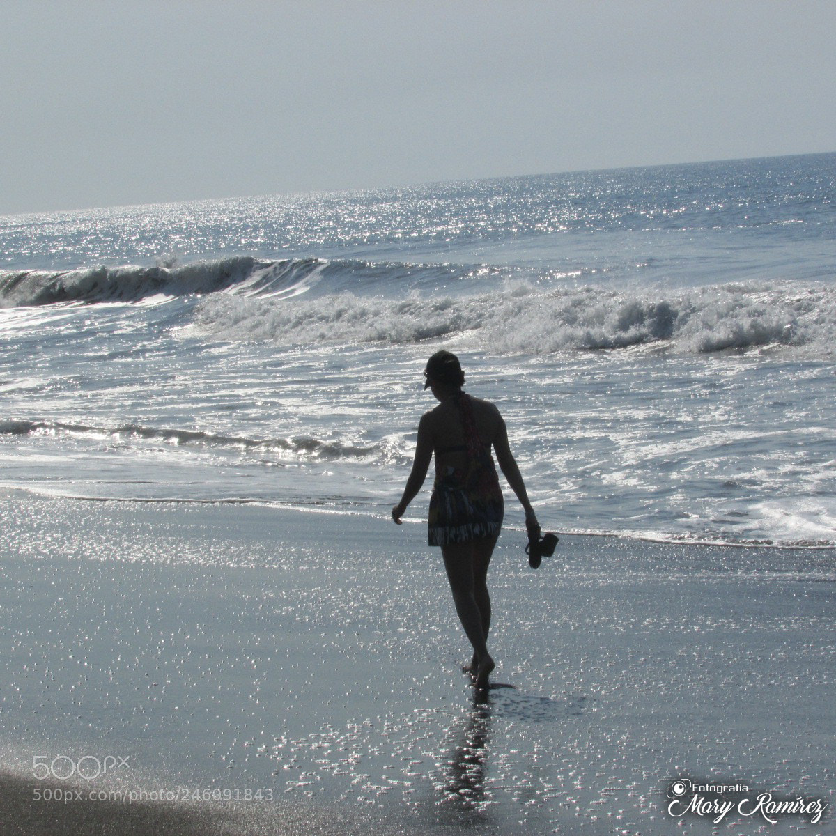 Canon PowerShot SX500 IS sample photo. Firma photography