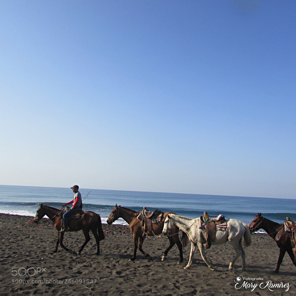 Canon PowerShot SX500 IS sample photo. Firma photography