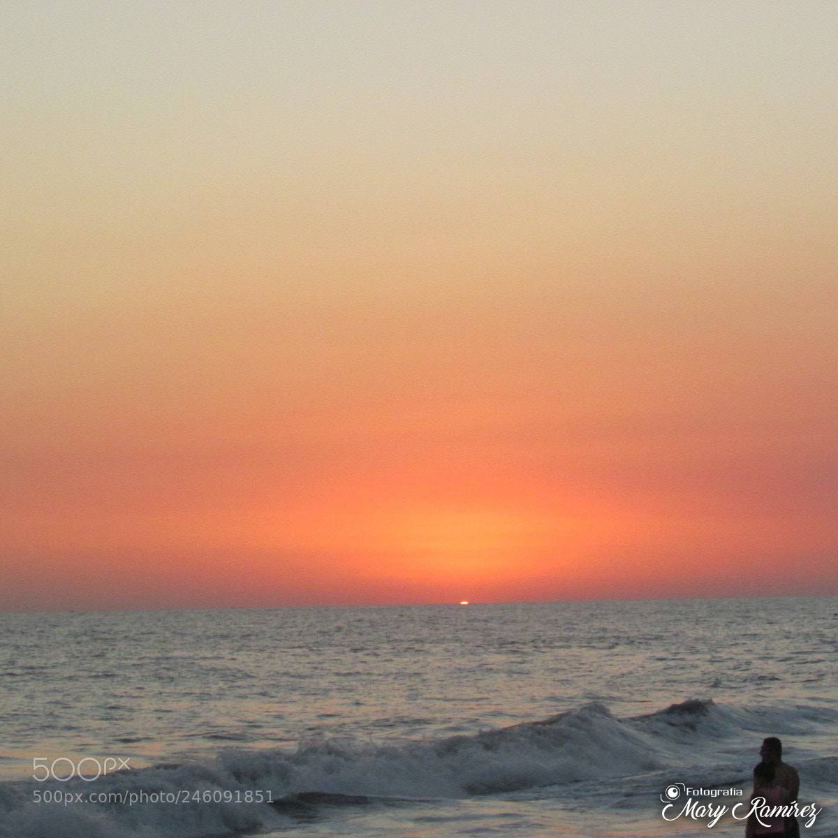 Canon PowerShot SX500 IS sample photo. Firma photography