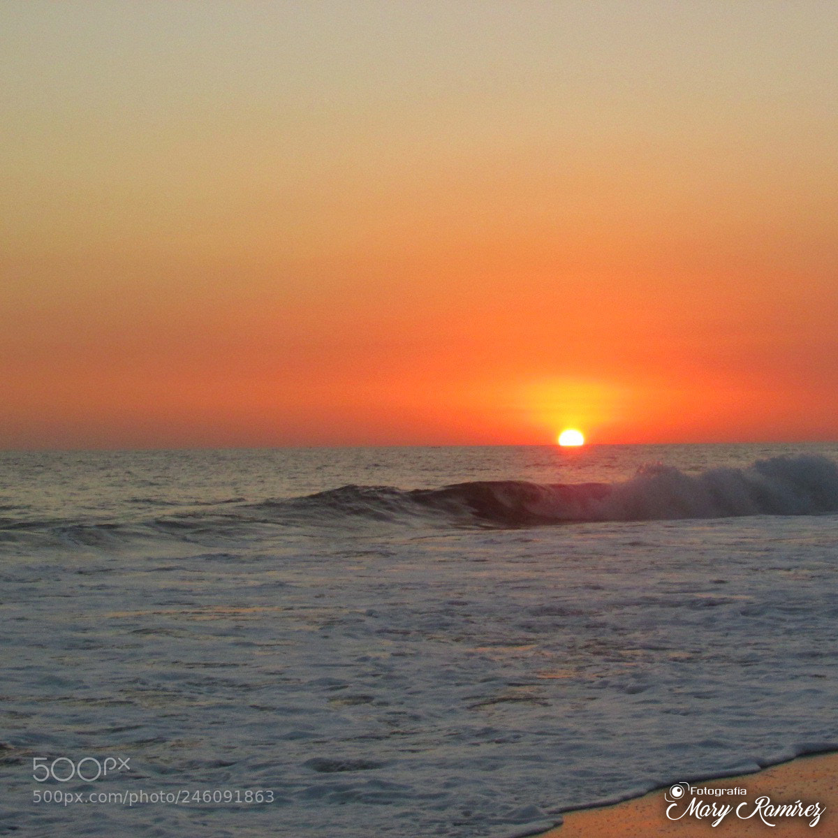 Canon PowerShot SX500 IS sample photo. Firma photography