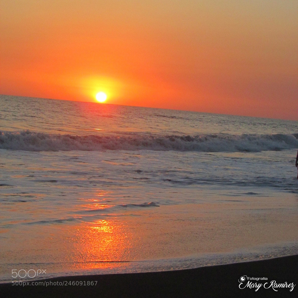 Canon PowerShot SX500 IS sample photo. Firma photography