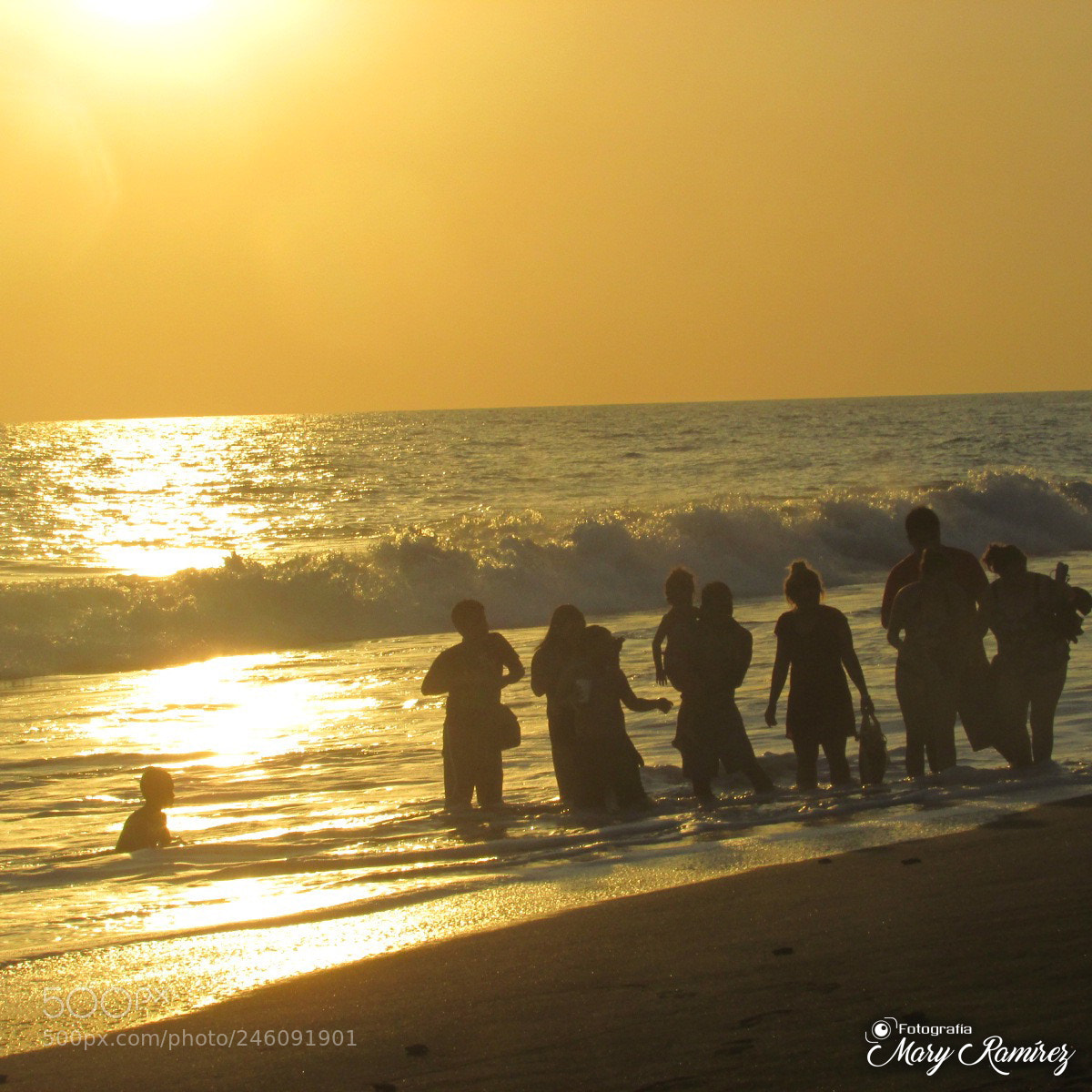 Canon PowerShot SX500 IS sample photo. Firma photography