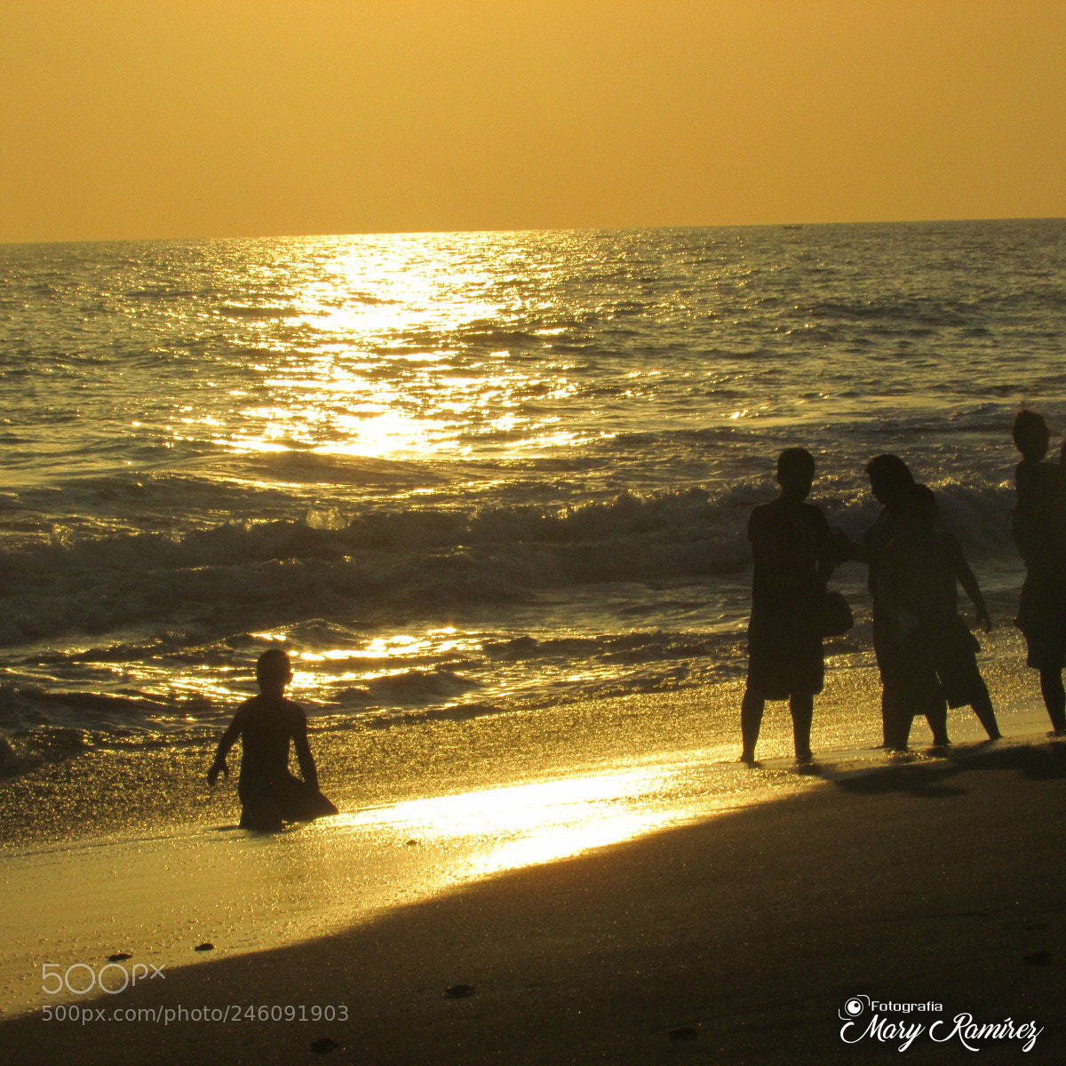 Canon PowerShot SX500 IS sample photo. Firma photography