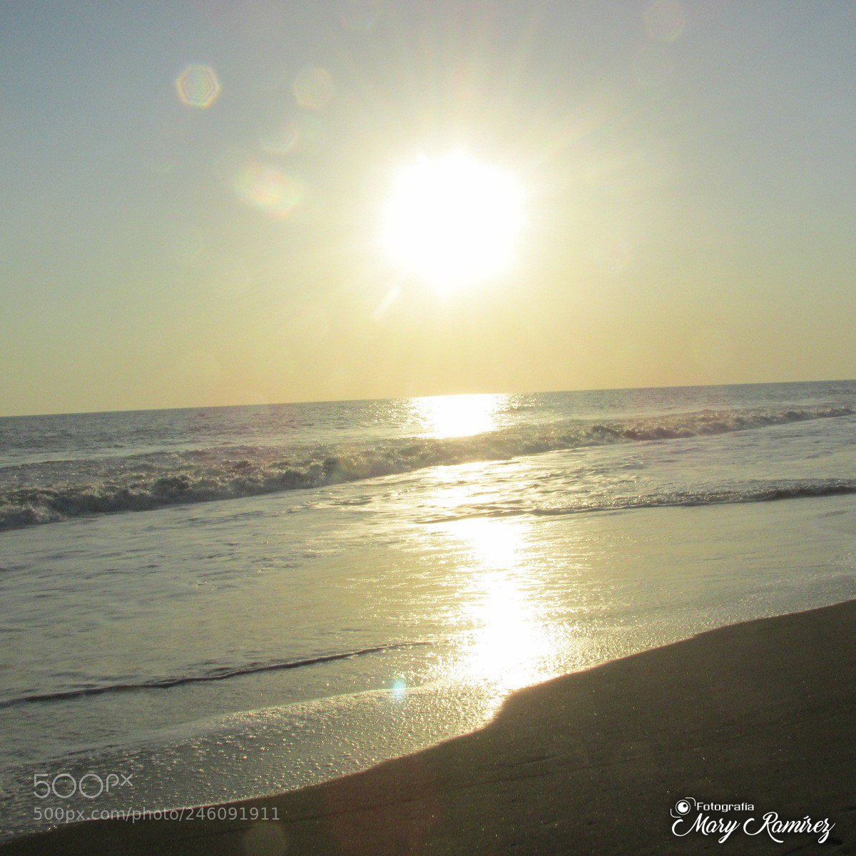Canon PowerShot SX500 IS sample photo. Firma photography