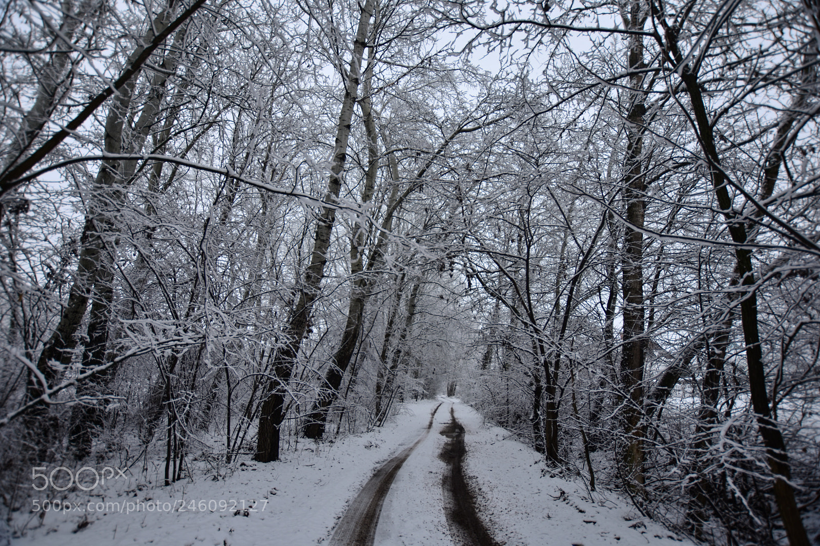 Nikon D7200 sample photo. Untitled photography