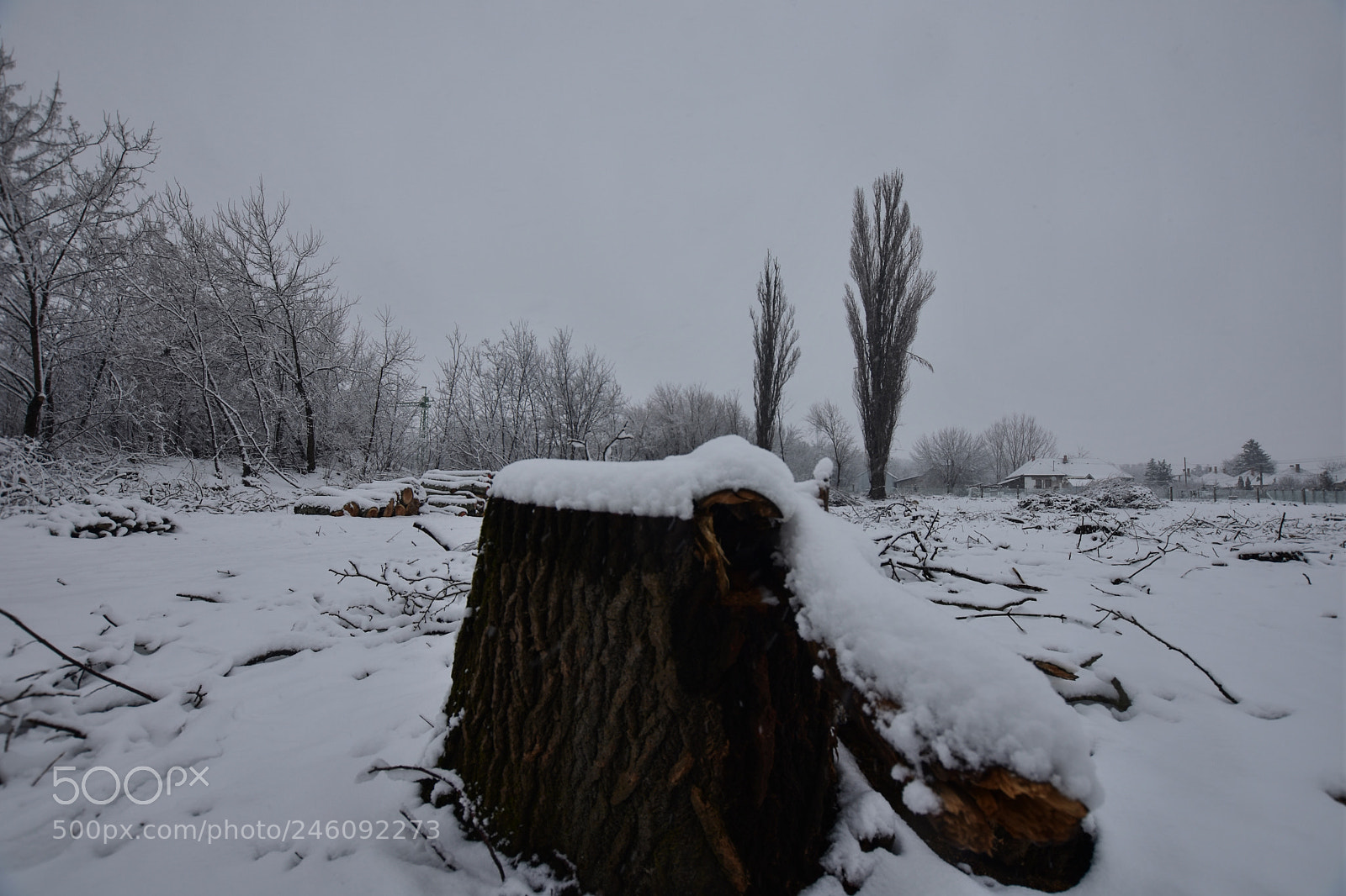 Nikon D7200 sample photo. Untitled photography
