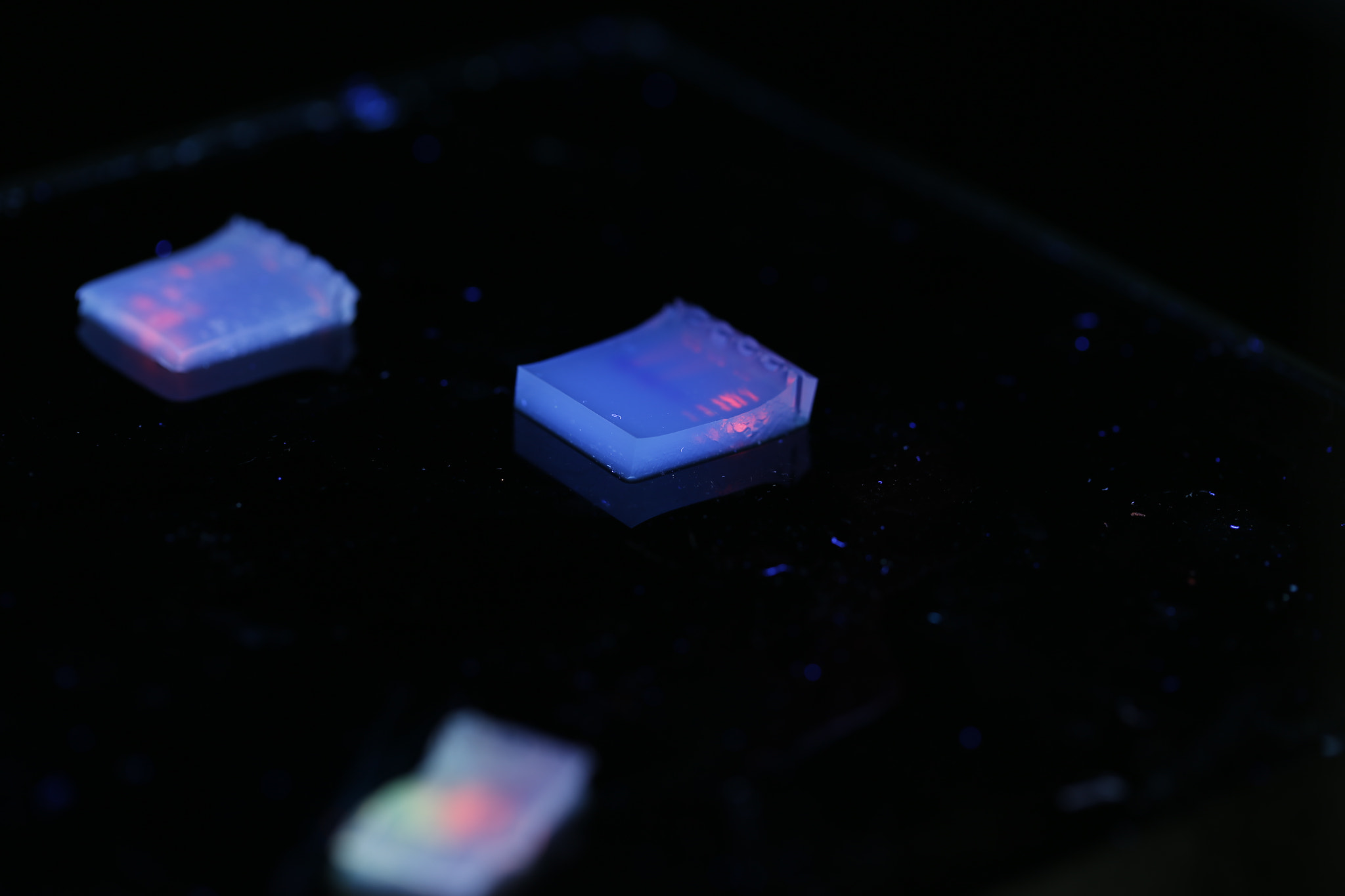 Canon EF 100mm F2.8L Macro IS USM sample photo. Agarose electrophorosis with dured and fish dye photography