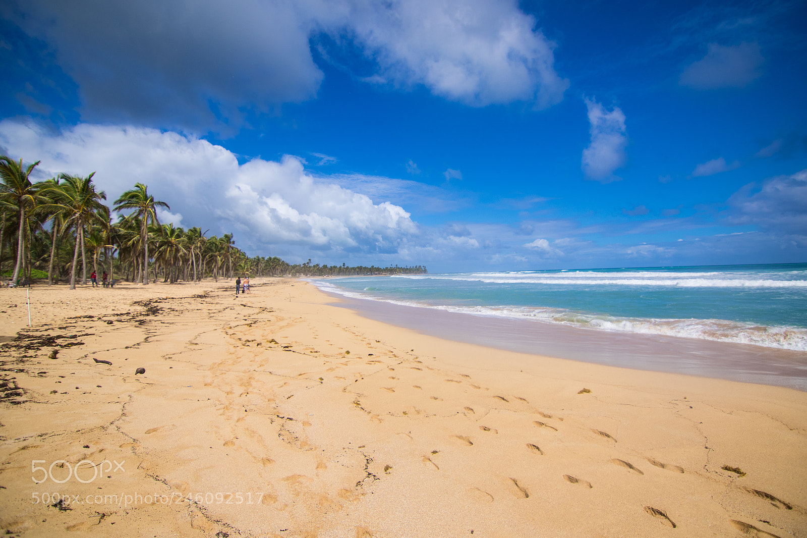 Canon EOS 7D Mark II sample photo. The beach photography