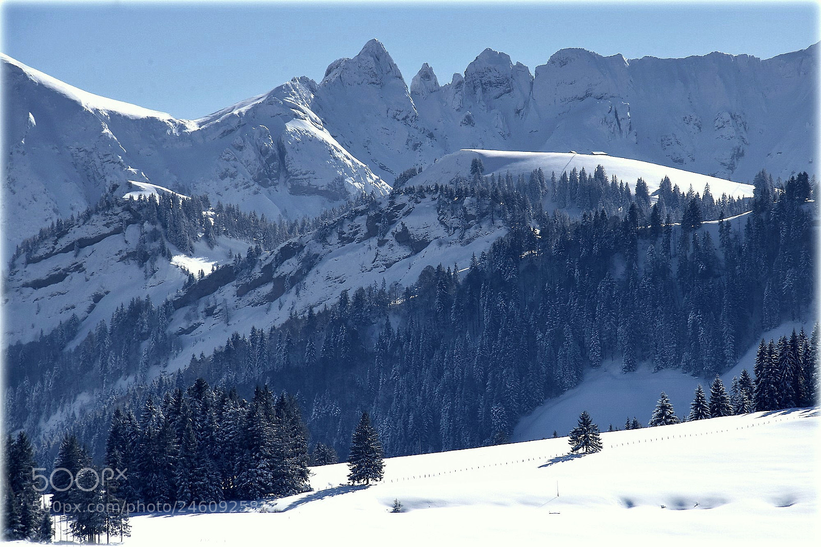 Nikon D810 sample photo. "snowmontains" photography