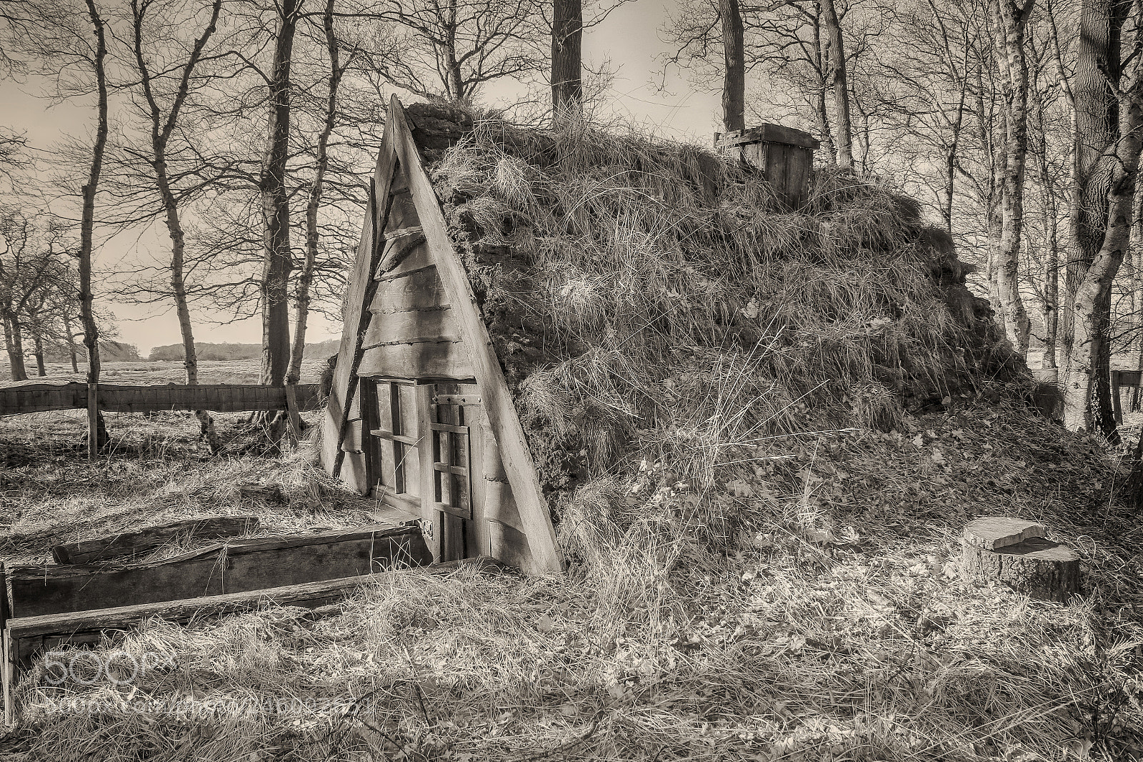Canon EOS 7D Mark II sample photo. Shed photography