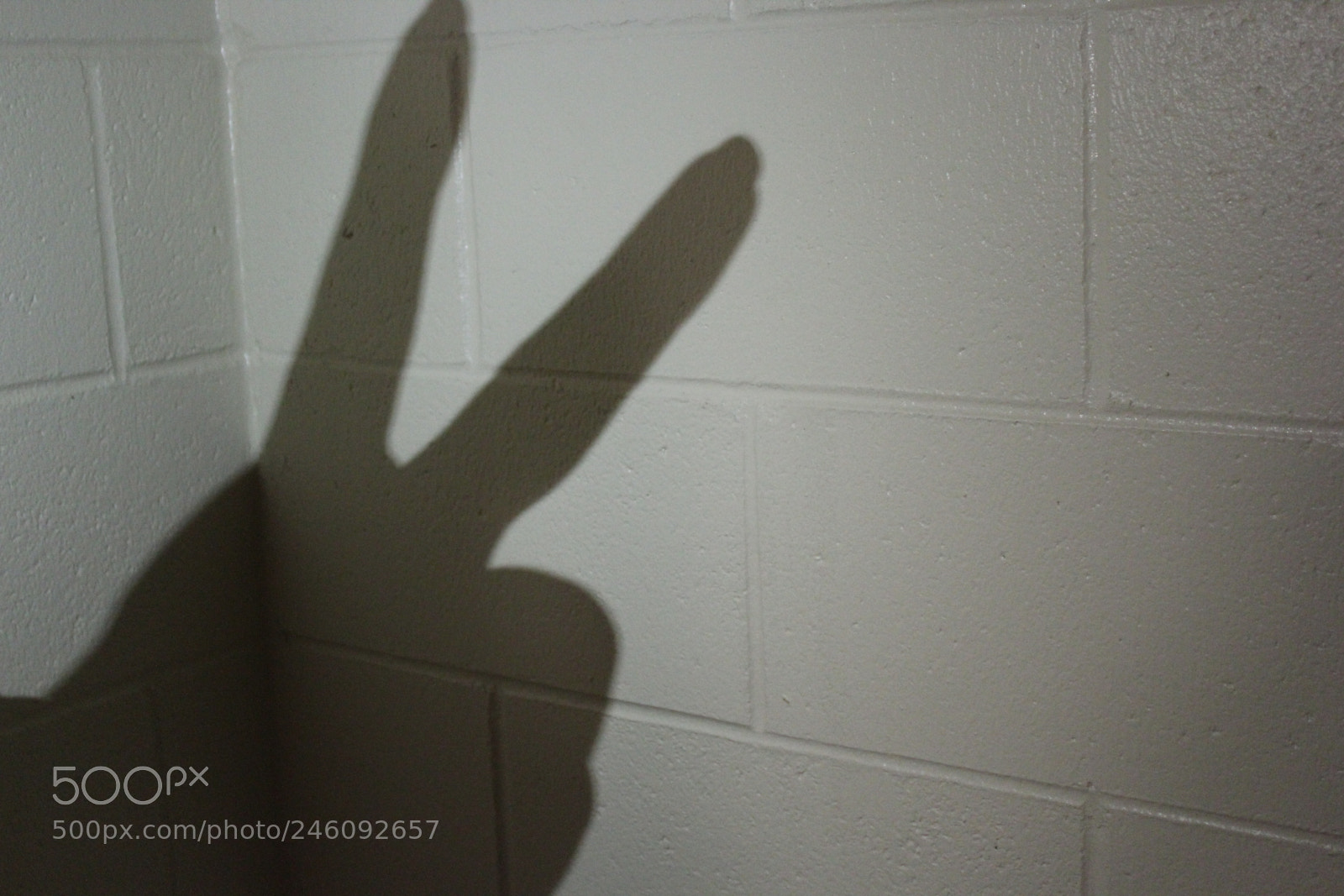 Canon EOS 1300D (EOS Rebel T6 / EOS Kiss X80) sample photo. Finger shadows photography