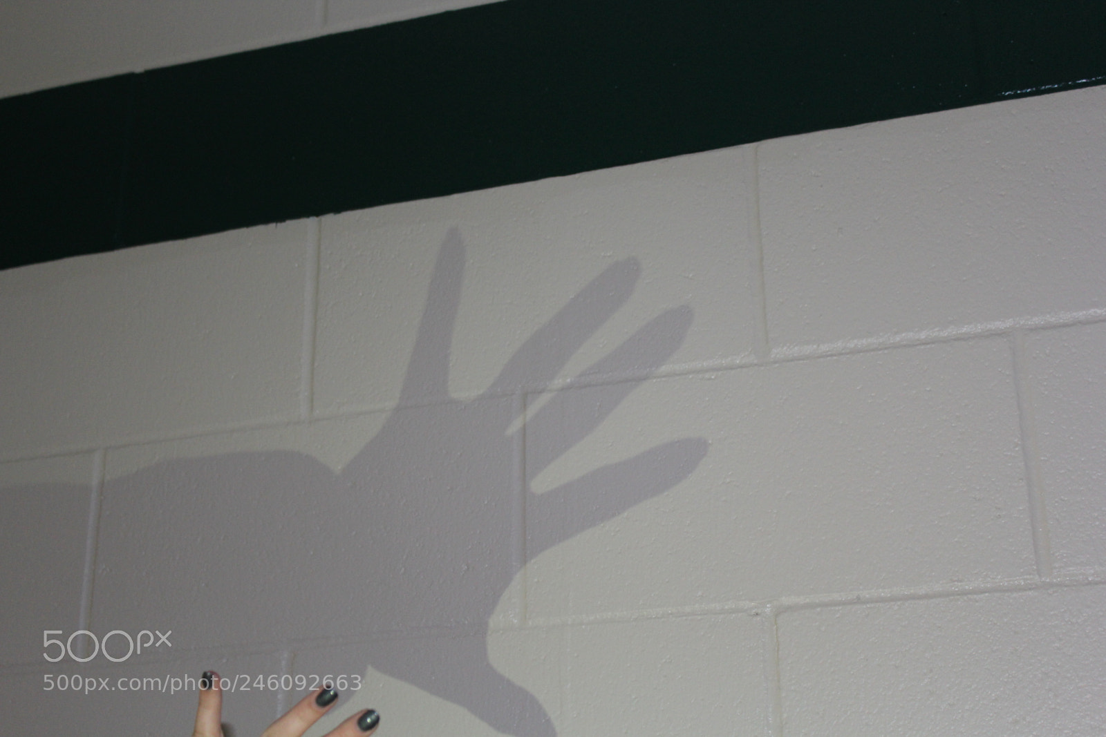Canon EOS 1300D (EOS Rebel T6 / EOS Kiss X80) sample photo. Hand shadow photography