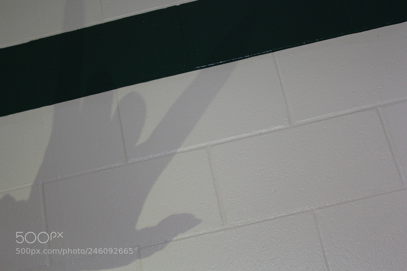 Canon EOS 1300D (EOS Rebel T6 / EOS Kiss X80) sample photo. Finger shadows photography