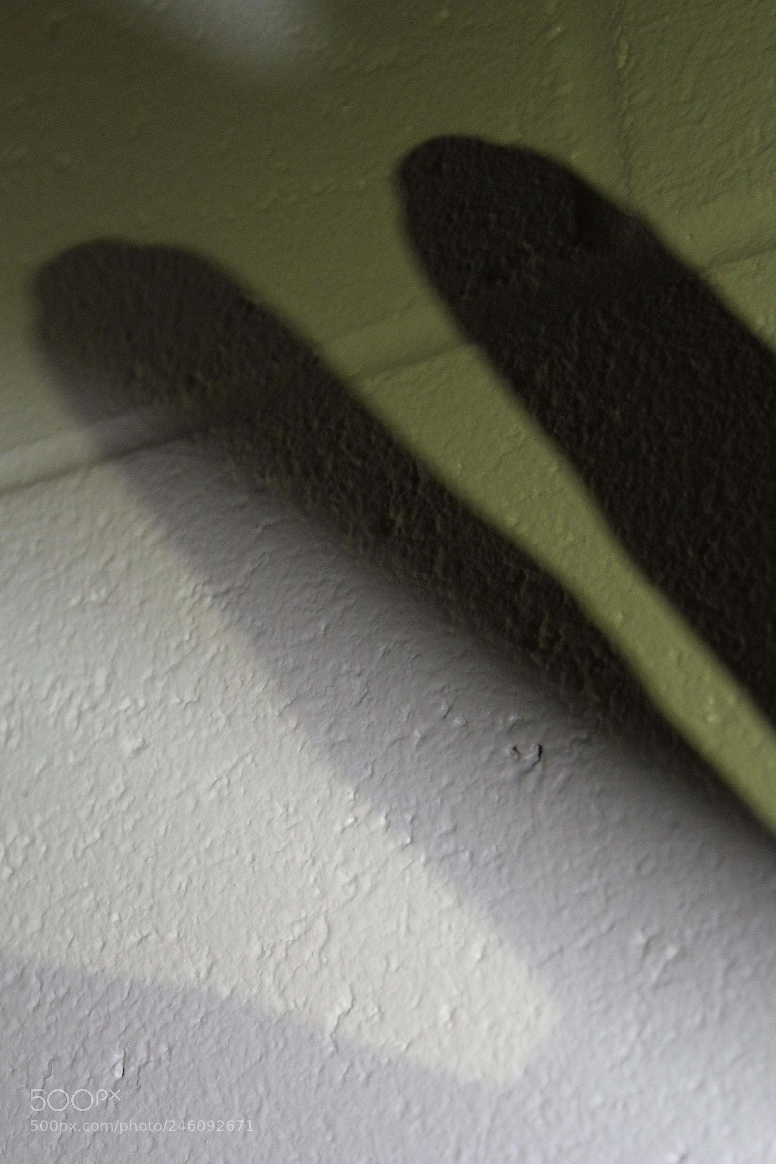 Canon EOS 1300D (EOS Rebel T6 / EOS Kiss X80) sample photo. Failed finger puppet shadow photography