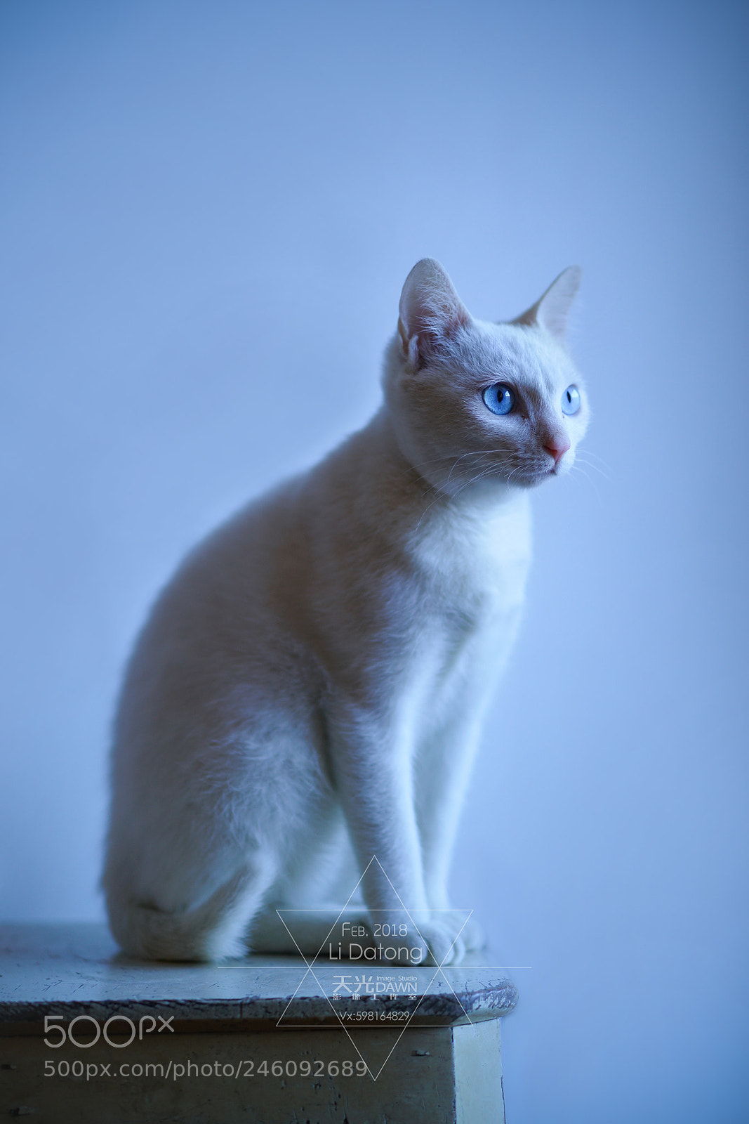 Sony a7R II sample photo. The philosopher photography
