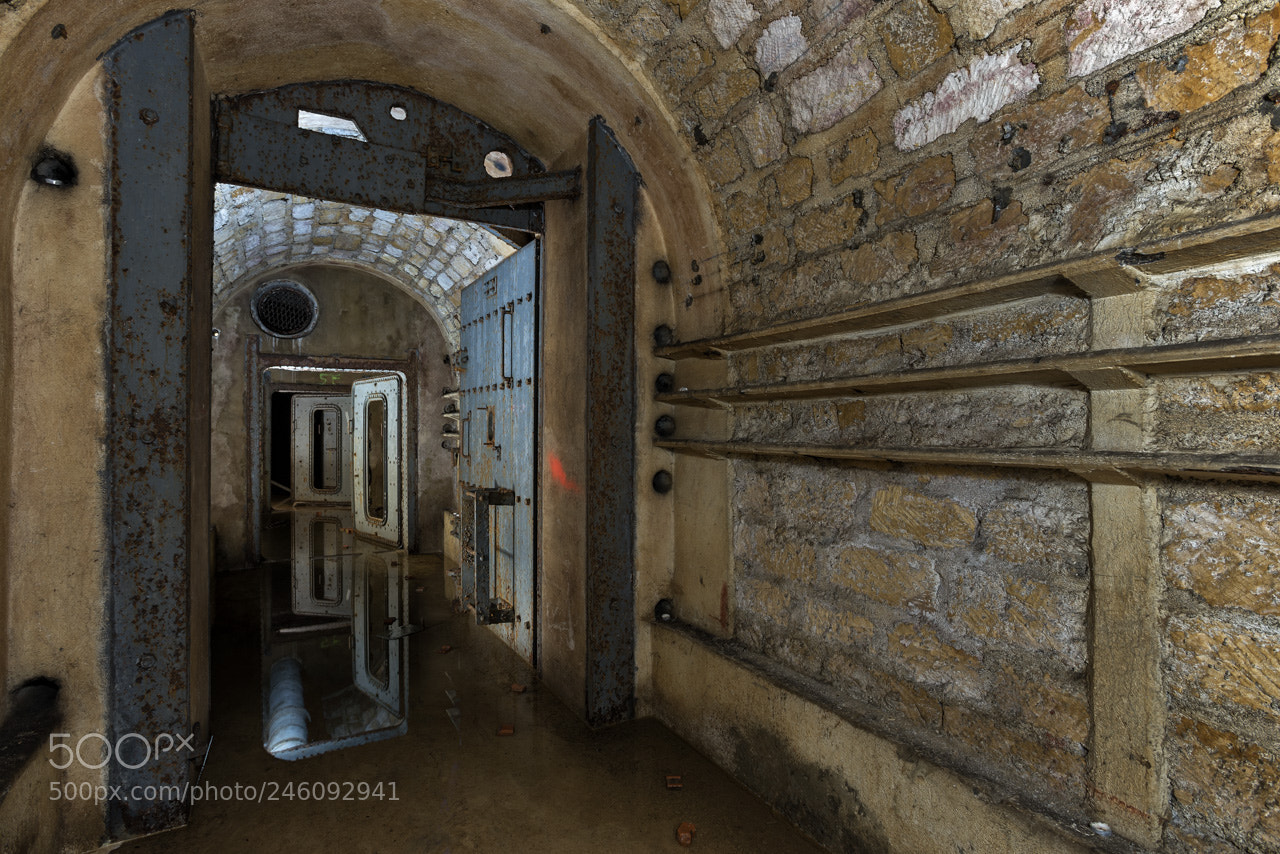 Nikon D600 sample photo. Armored door reflections inside photography