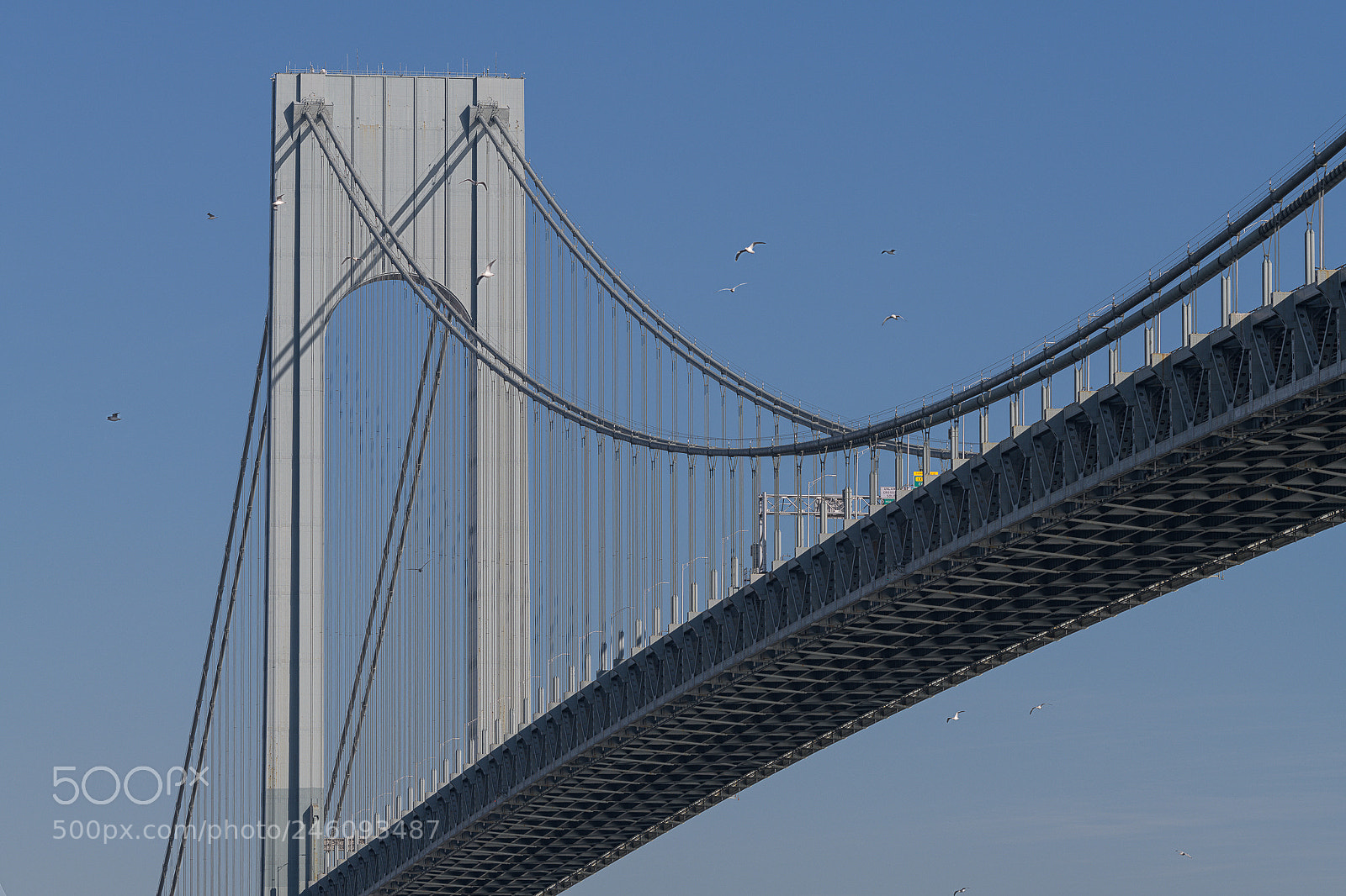 Nikon D850 sample photo. Verrazano day photography