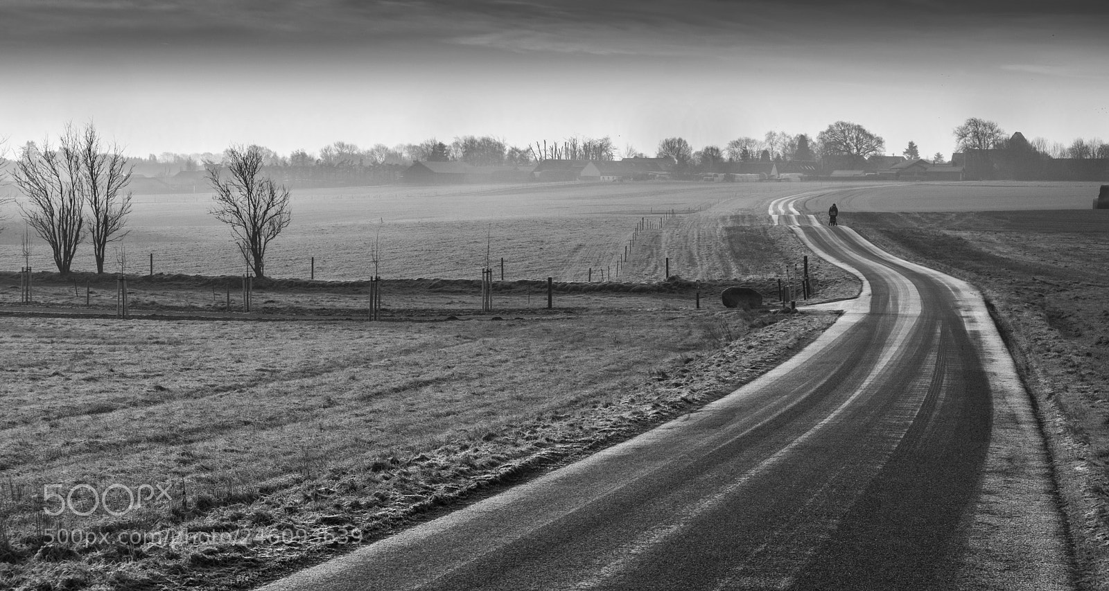 Fujifilm X-T20 sample photo. Walking the lonely road photography