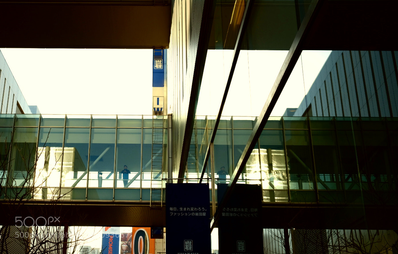 Fujifilm X-T2 sample photo. Untitled photography
