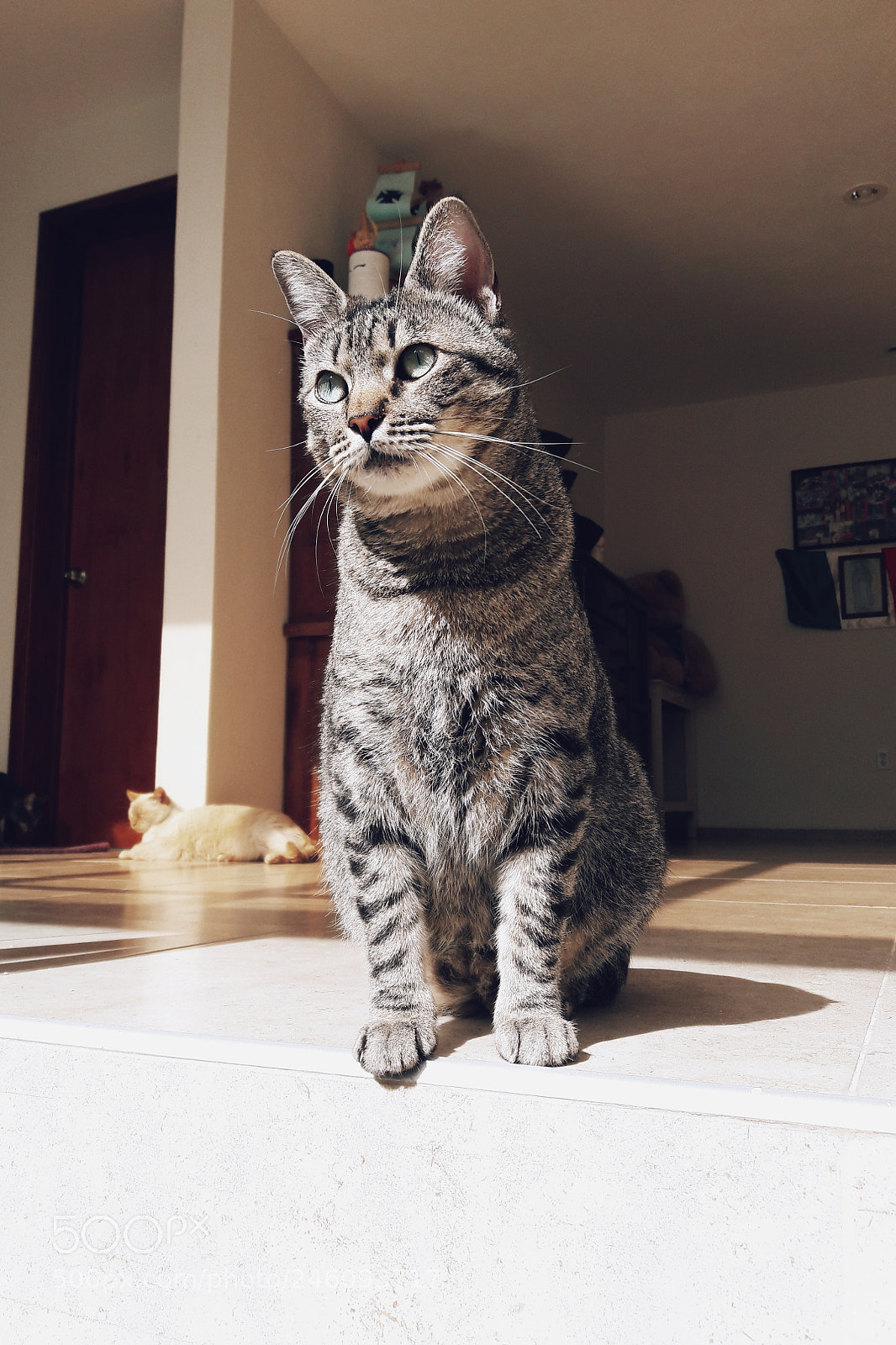Samsung Galaxy A5(2016) sample photo. Untitled photography