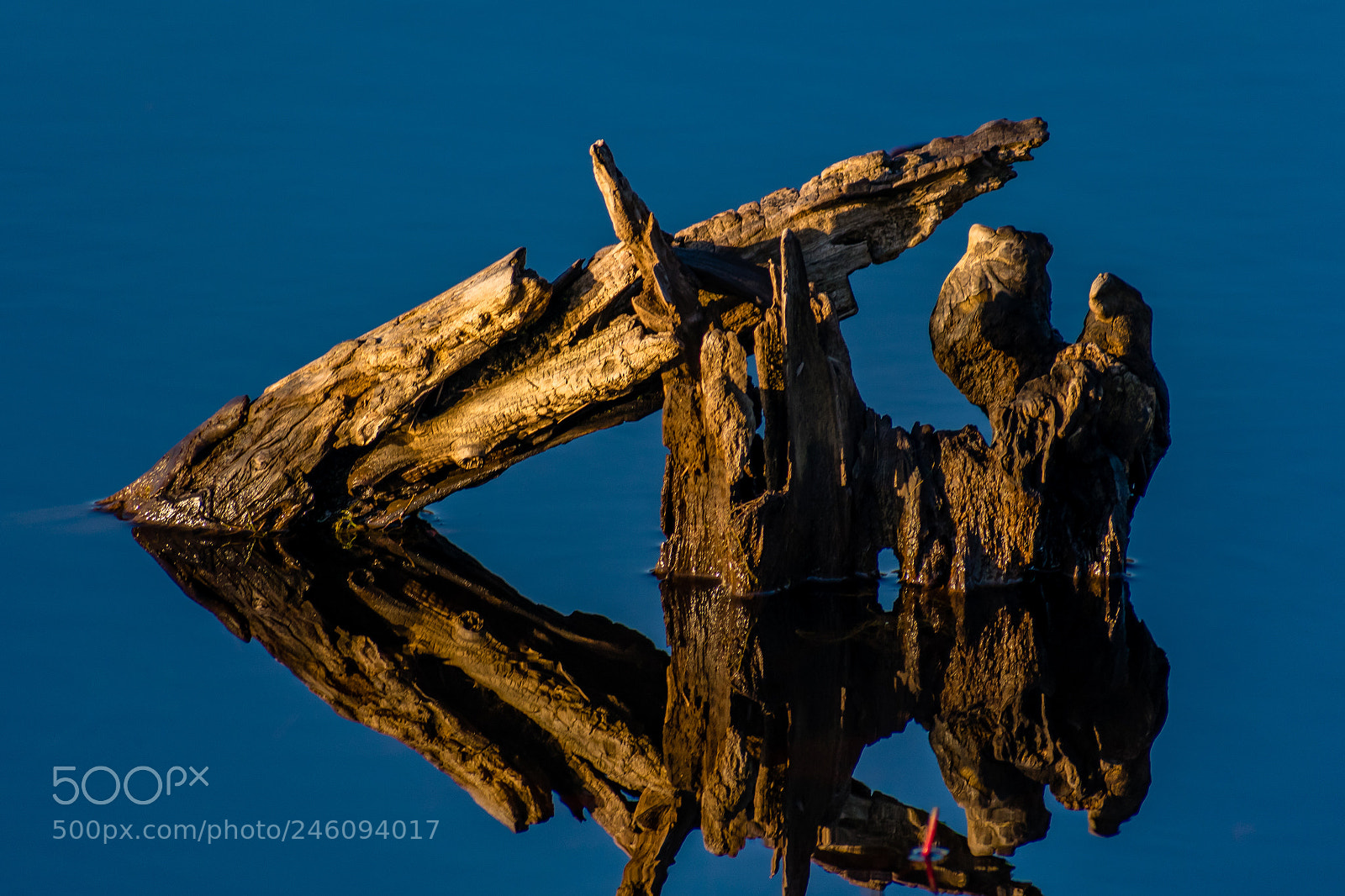 Nikon D3400 sample photo. Reflection photography