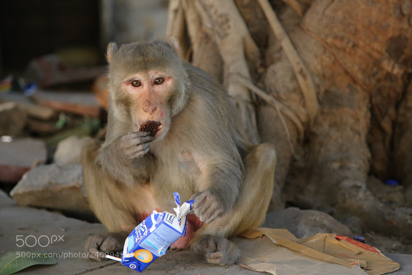 Canon EOS 6D + Canon EF 24-105mm F4L IS USM sample photo. Untitled photography
