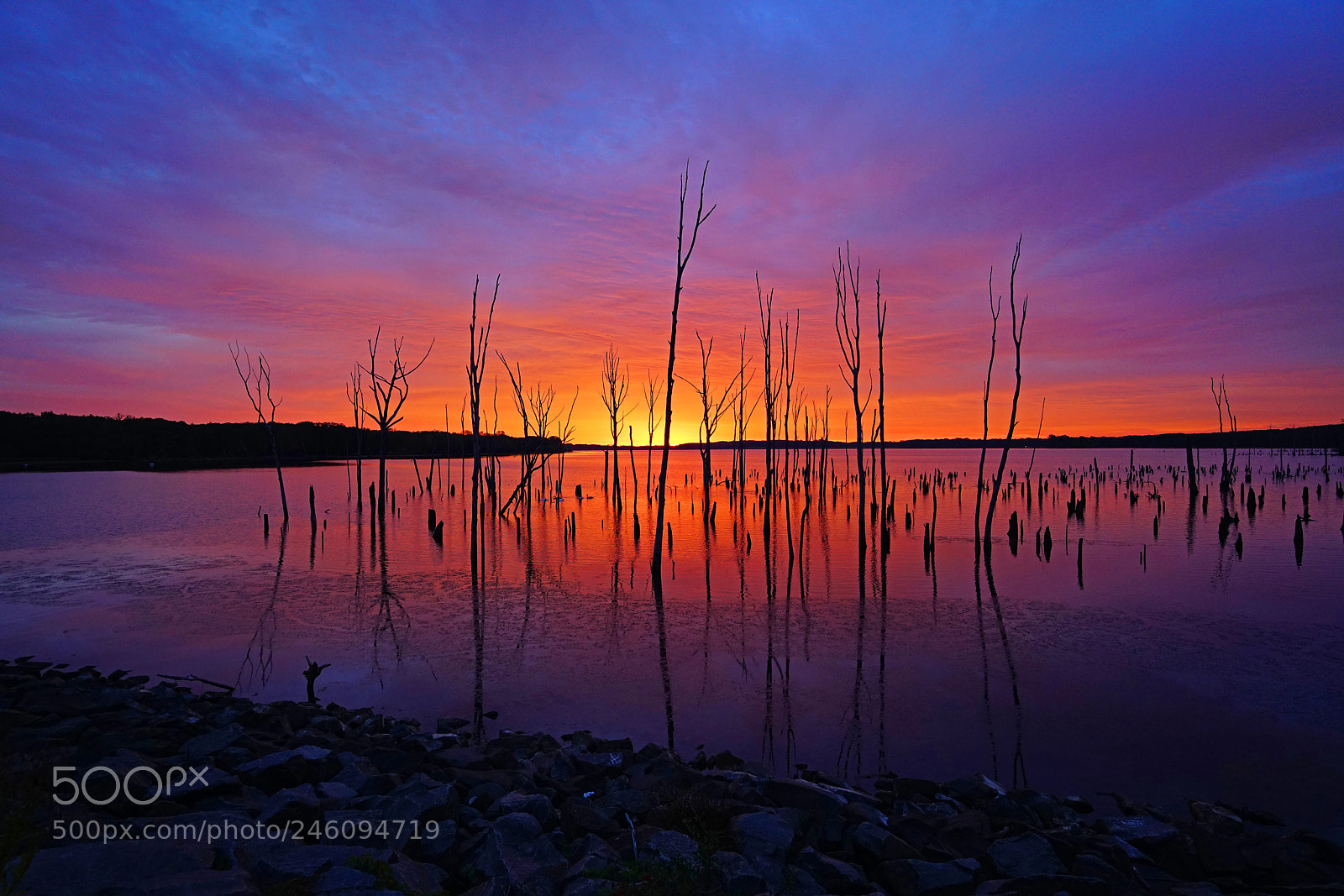 Sony a7R II sample photo. Pastel magic at dawn photography