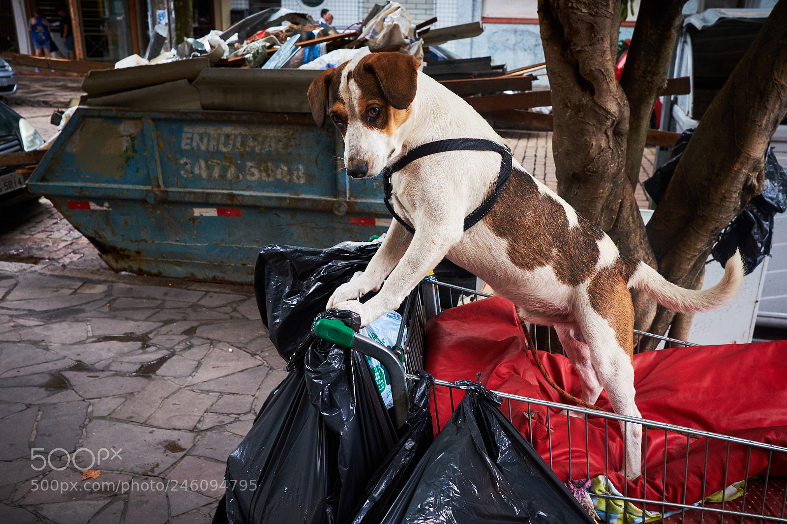 Fujifilm X-T10 sample photo. Are you looking at photography