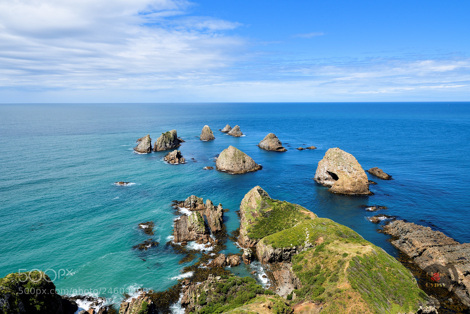 Nikon D500 sample photo. Nugget point photography