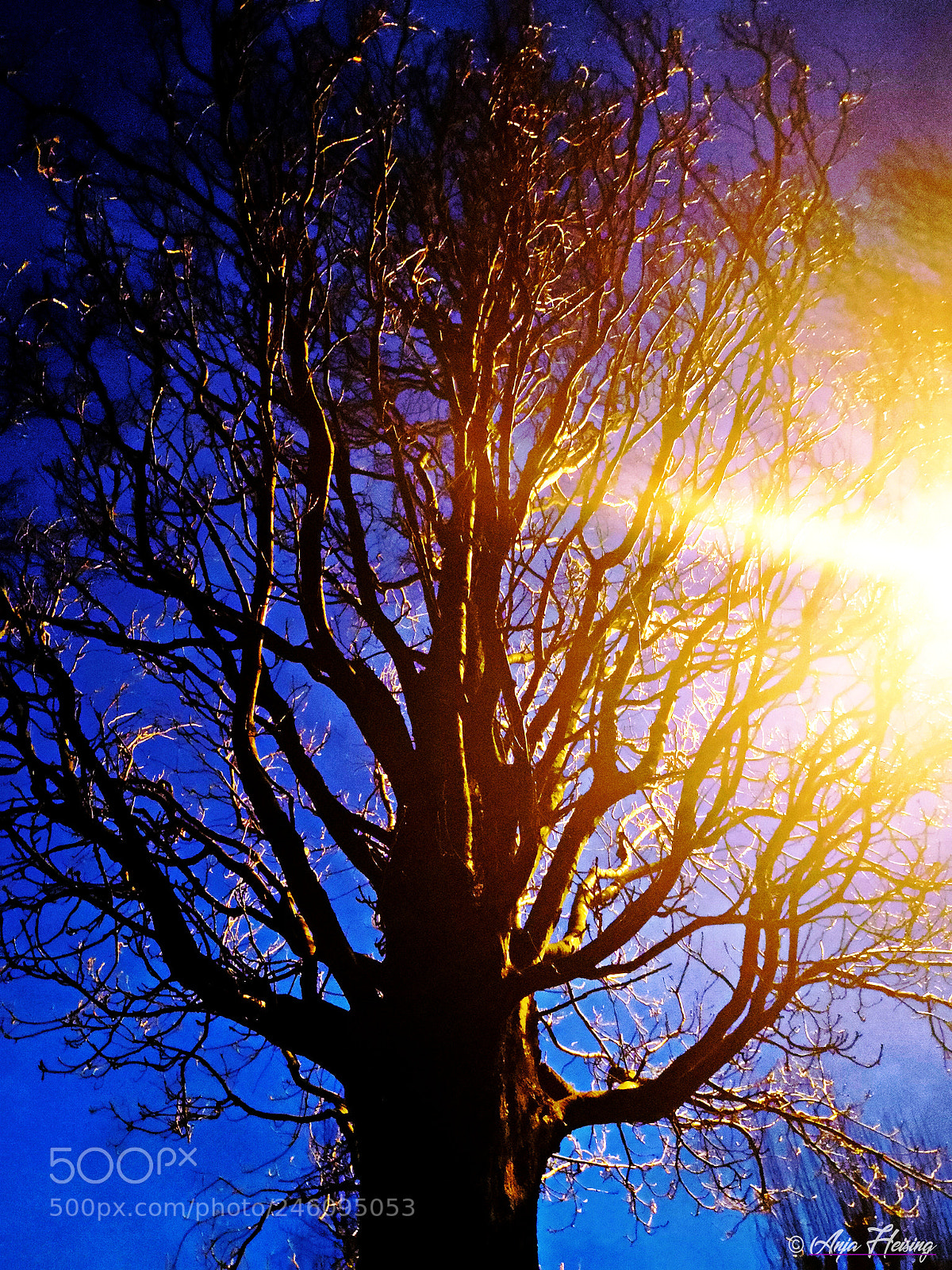 HUAWEI Mate 10 Pro sample photo. Untitled photography