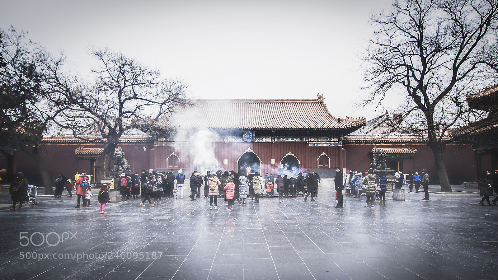 Nikon D90 sample photo. A temple in winter photography