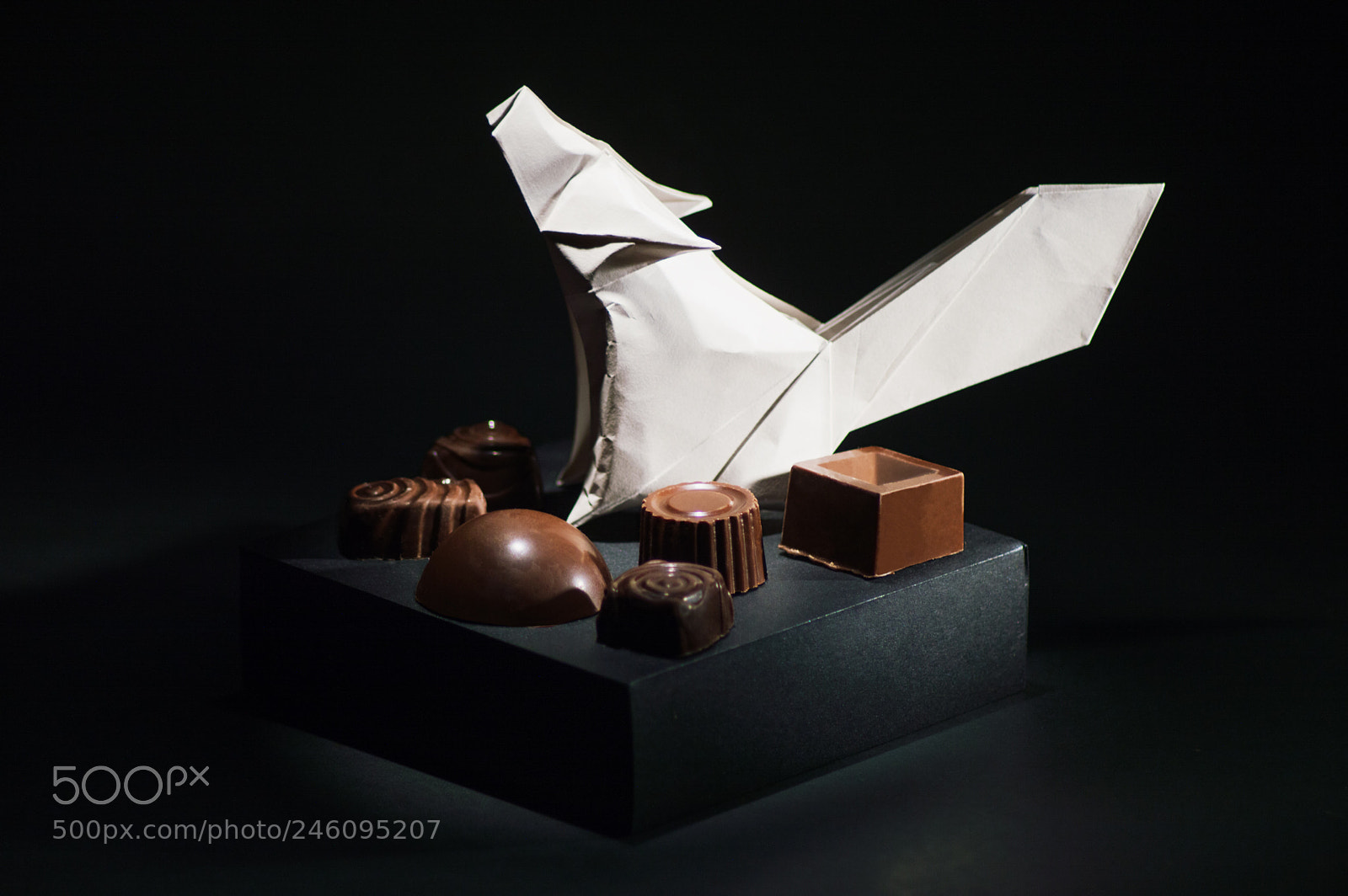 Nikon D3200 sample photo. Chocolate wolf photography