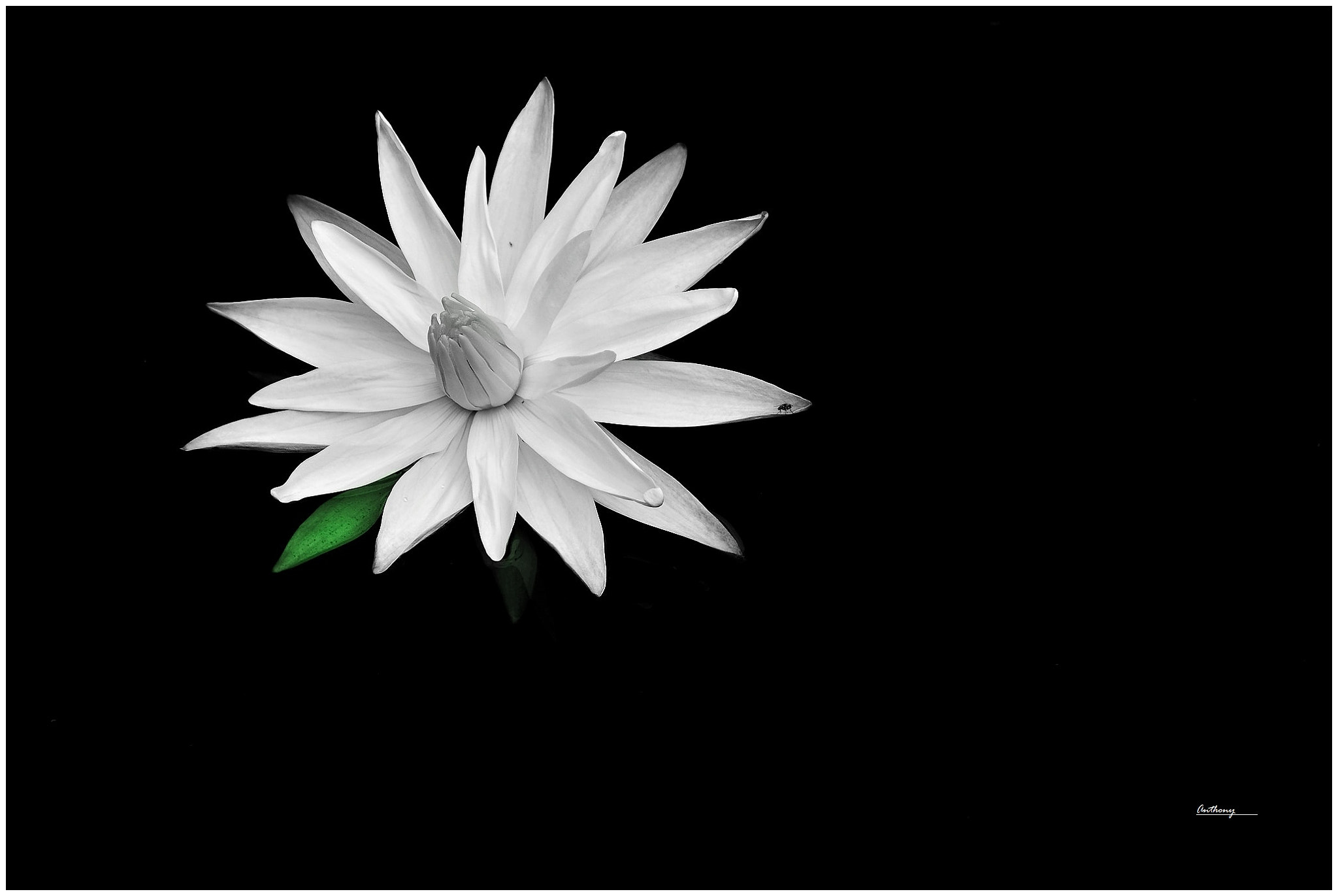 Nikon D5100 sample photo. Picture imperfect photography