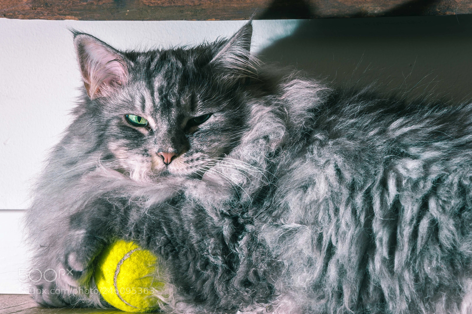 Nikon D7200 sample photo. Mine photography