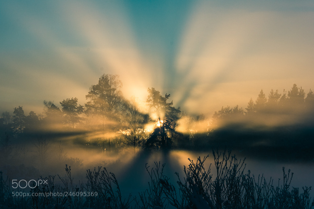 Nikon D7200 sample photo. Sunset glow photography