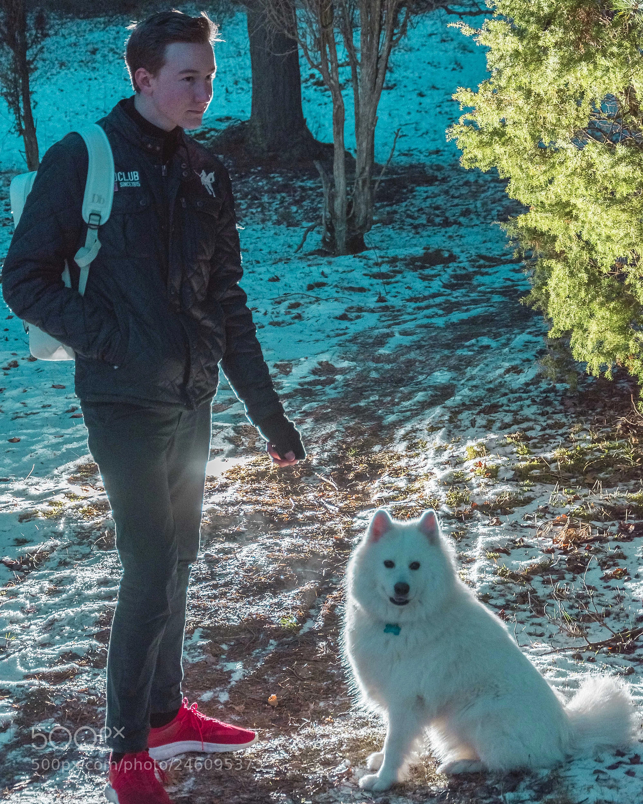 Nikon D7200 sample photo. Night dog photography