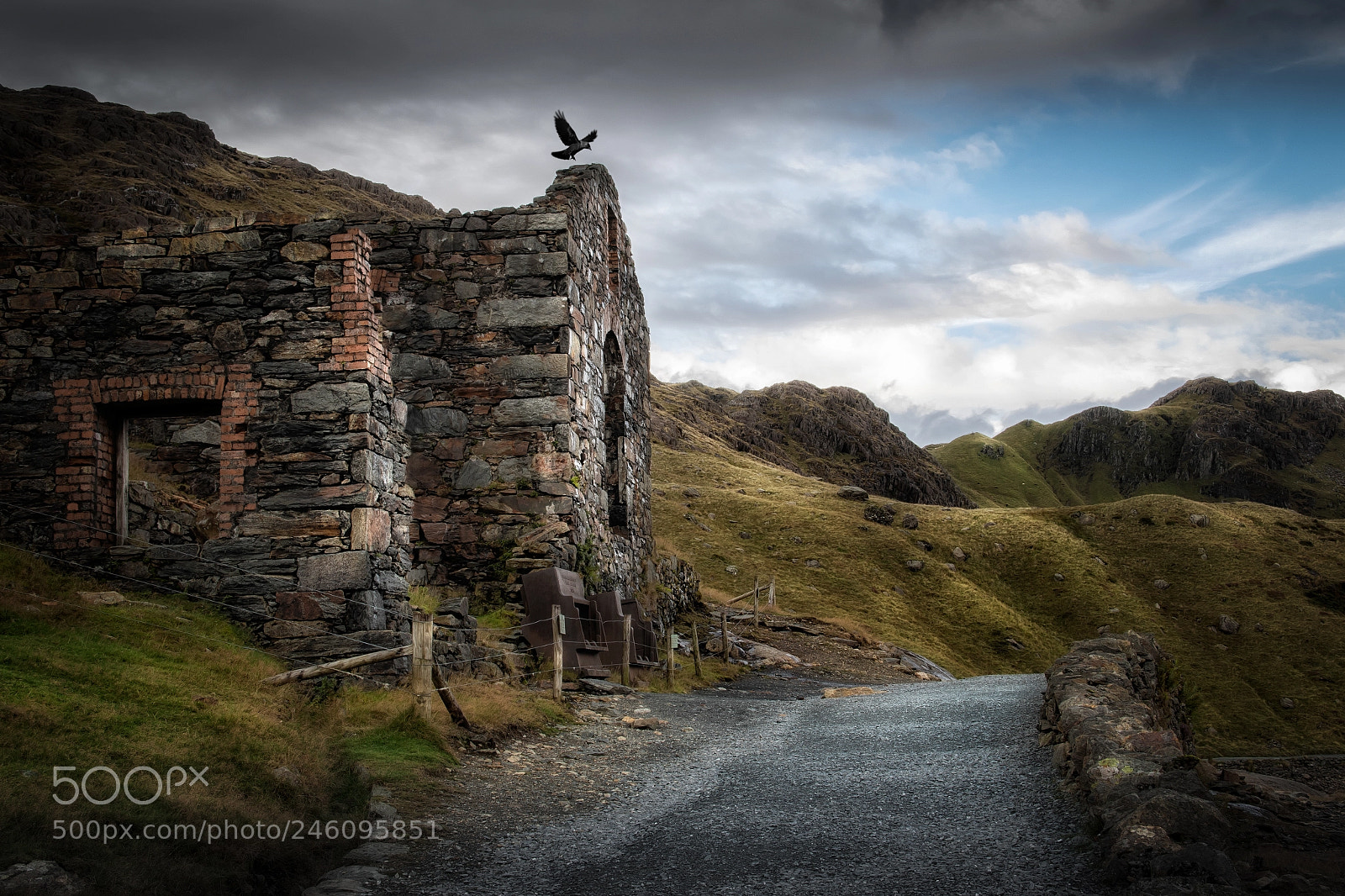 Canon EOS 7D Mark II sample photo. Home to roost photography