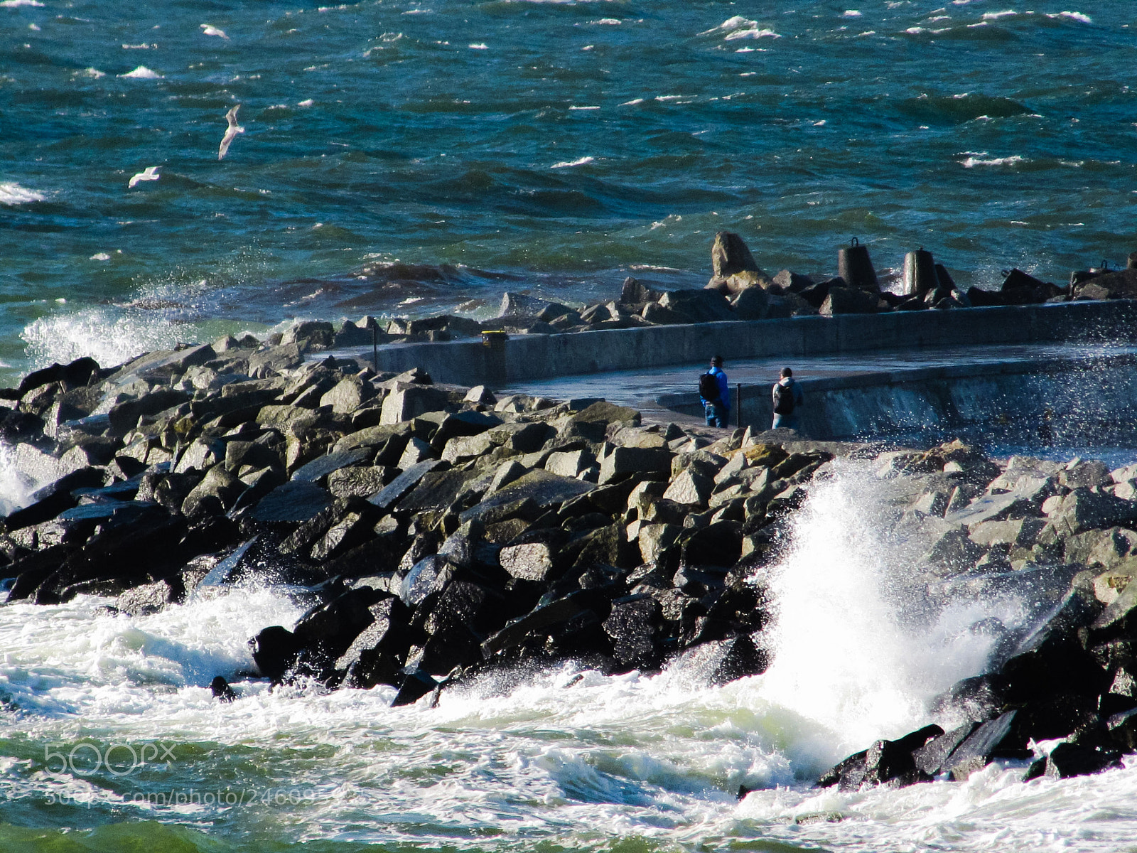 Canon PowerShot SX10 IS sample photo. Element photography