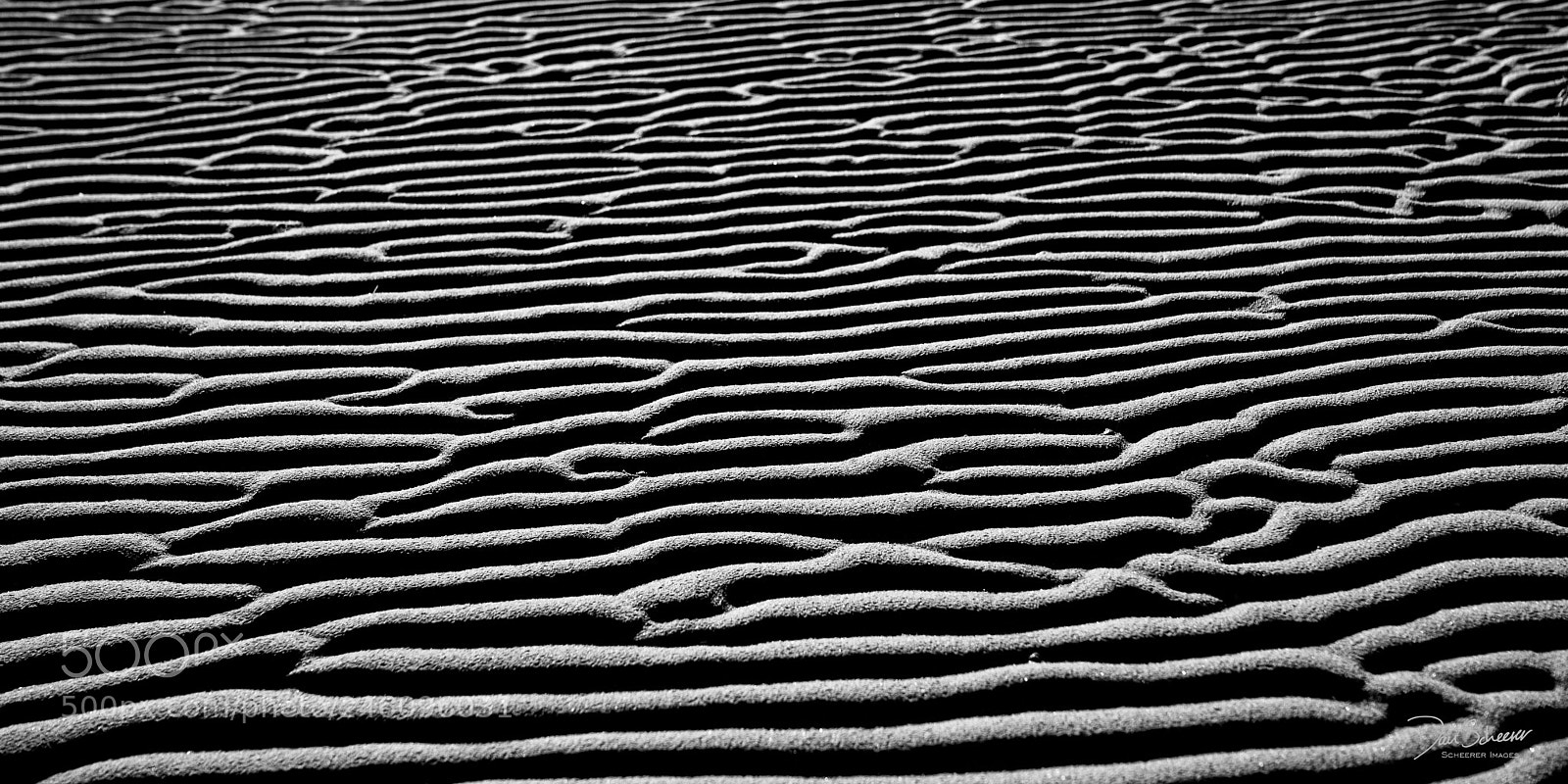 Sony a7R II sample photo. Zebra beach photography